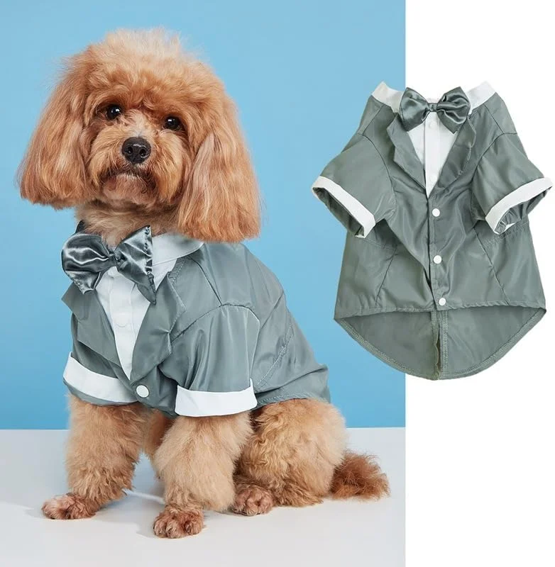 تی‌شرت سگ و گربه Nvzi-b، لباس‌های تنفسی حیوانات خانگی، لباس سگ و گربه مناسب برای سگ‌ها و گربه‌های کوچک و متوسط​​، سایز XL، طرح A44