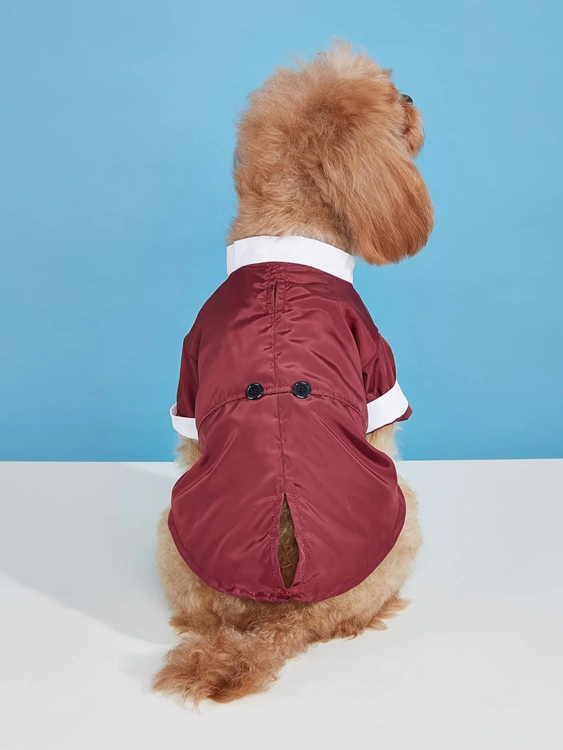 تی‌شرت سگ و گربه Nvzi-b، لباس‌های تنفسی حیوانات خانگی، لباس سگ و گربه مناسب برای سگ‌ها و گربه‌های کوچک و متوسط​​، سایز XL، طرح A44