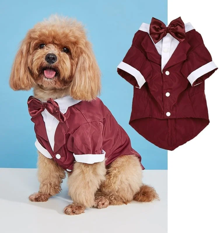 تی‌شرت سگ و گربه، پیراهن تنفسی حیوانات خانگی، لباس سگ و گربه مناسب برای سگ ها و گربه های کوچک و متوسط، سایز XXL, A46