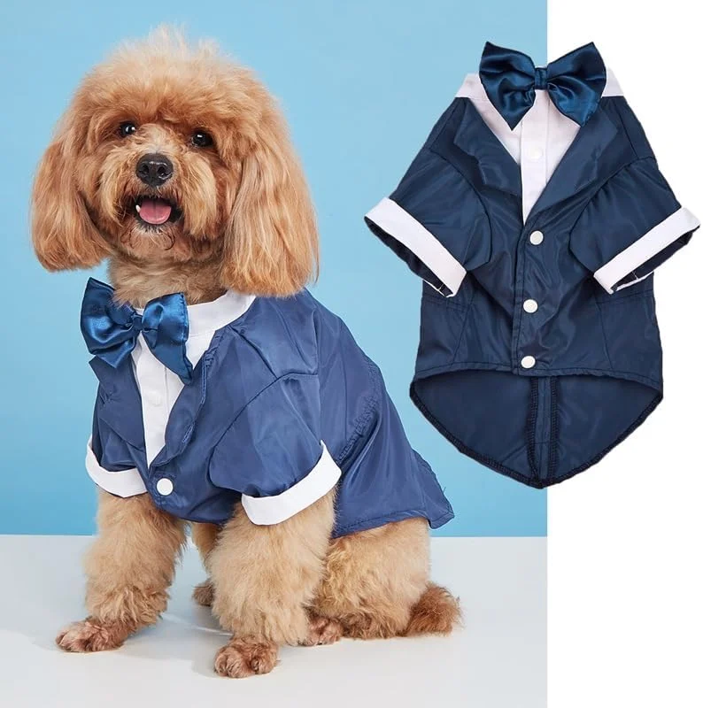 تی‌شرت سگ و گربه، پیراهن تنفسی حیوانات خانگی، لباس سگ توله سگ، کت و پوشاک برای سگ‌ها و گربه‌های کوچک و متوسط، L, A47