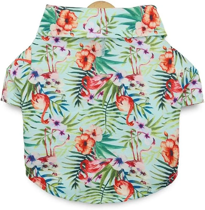 تیشرت سگ و گربه Nvzi-b، پیراهنهای تنفسی حیوانات خانگی، لباس سگ و گربه مناسب برای سگها و گربههای کوچک و متوسط، M, A27 تیشرت سگ و گربه Nvzi-b، پیراهنهای تنفسی حیوانات خانگی، لباس سگ و گربه مناسب برای سگها و گربههای کوچک و متوسط، M, A27