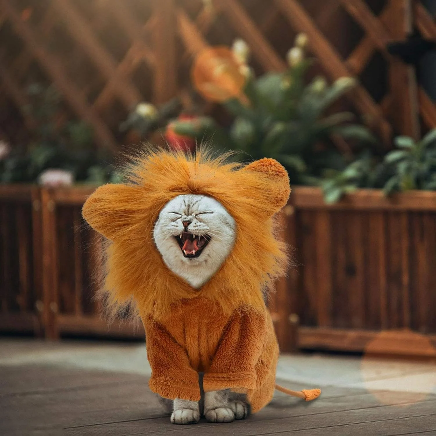 لباس شیر سگ تزویق، لباس حیوانات خانگی شبیه سازی شیر، لباس مهمانی، لباس گربه برای مهمانی