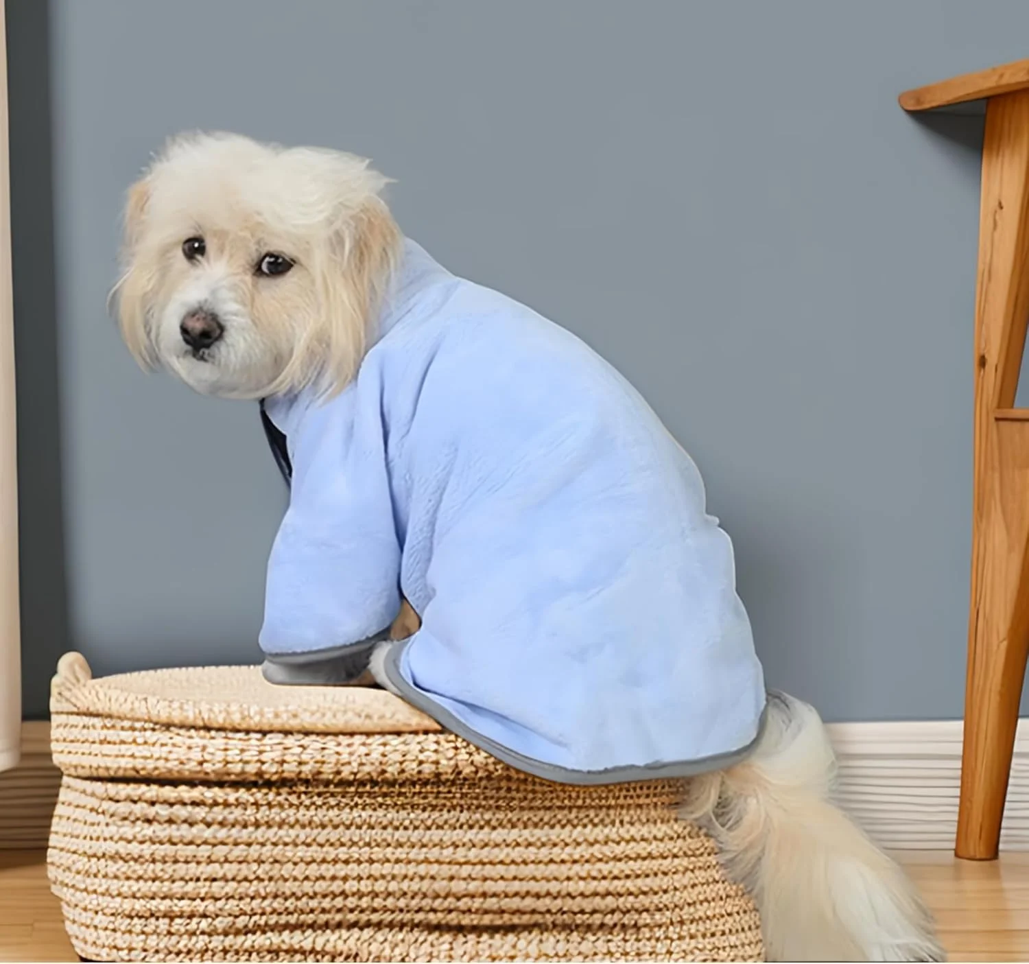 حوله تن پوش حیوانات خانگی TERRIFI، کت خشک کن میکروفایبر فوق العاده جاذب برای سگ و گربه، حوله خشک کننده سریع، نرم و خشک شونده سریع، ایده آل برای زمان حمام حیوانات خانگی، سایز کوچک، رنگ آبی