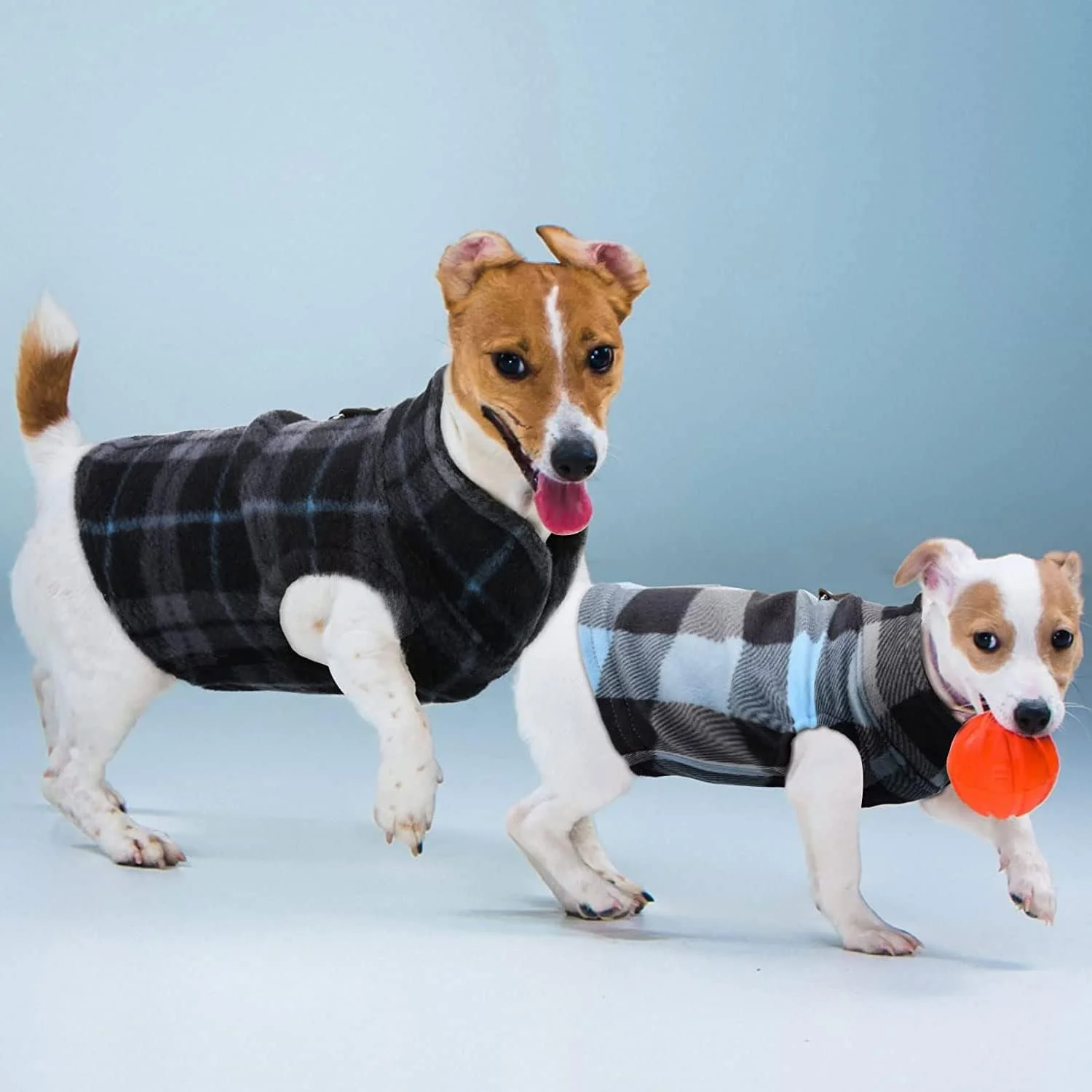 لباس سگ 6 تکه TERRIFI - پلیور و لباس پشمی برای گرمای زمستان - پیراهن حیوانات خانگی پشمی (متوسط، 6 رنگ)