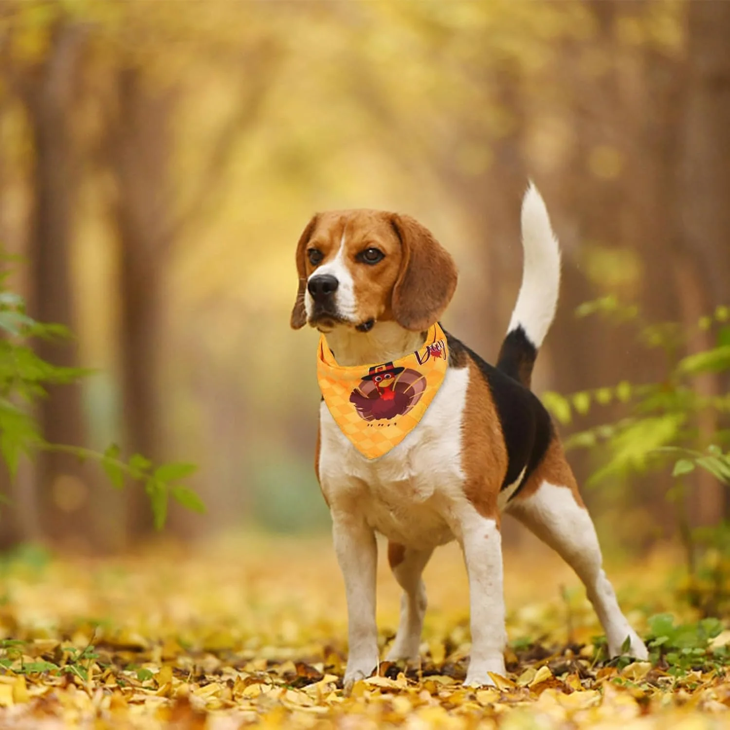 دستمال گردن سگ طرح بوقلمون مناسب جشن شکرگزاری، دستمال سه گوش قابل تنظیم برای سگ های بزرگ و متوسط، لوازم جانبی پارچه ای