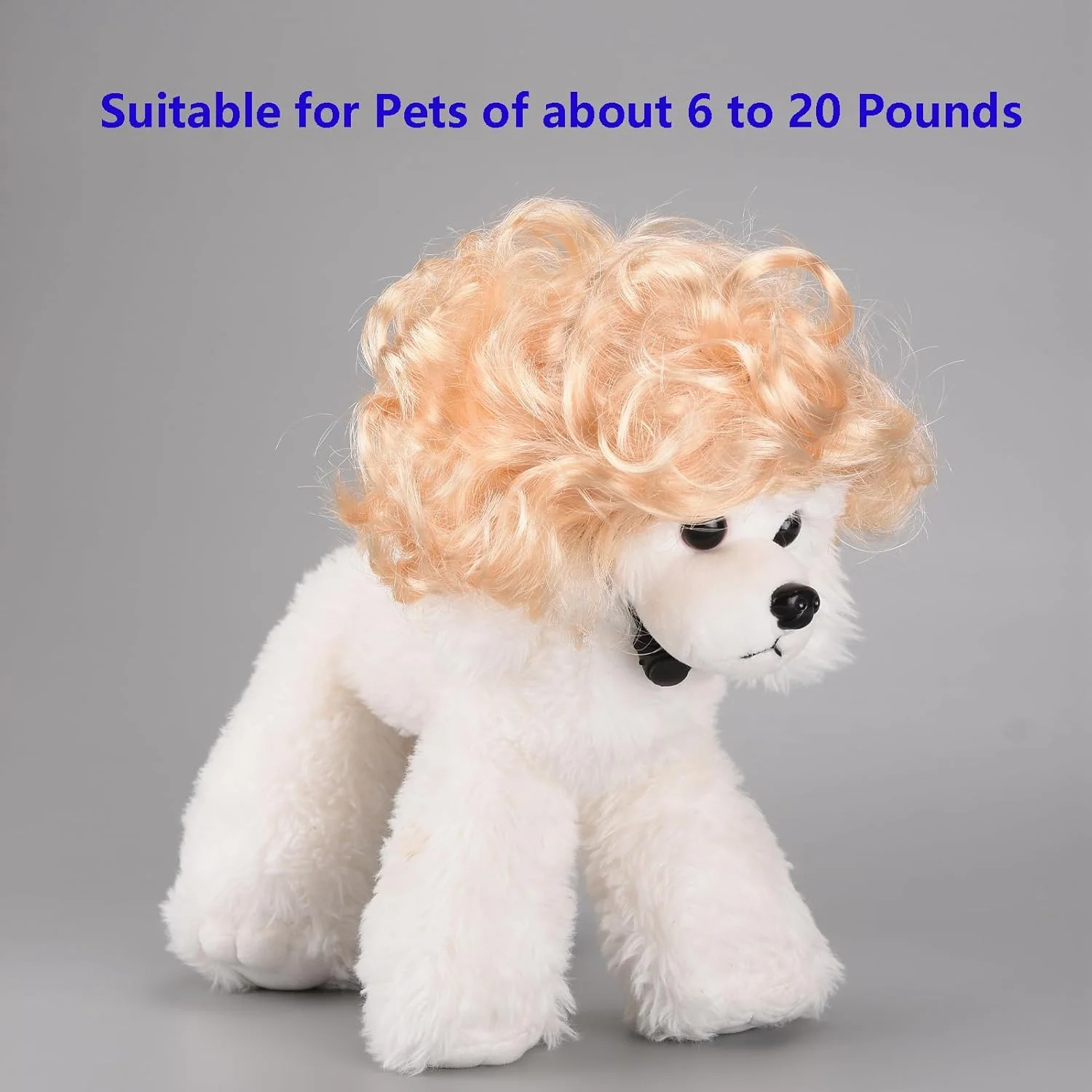 کلاه گیس فانتزی سگ، پوشاک سر، لباس حیوانات خانگی، لباس گربه برای هالووین، کریسمس، مهمانی ها، جشنواره ها (موهای فرفری بلوند) کلاه گیس فانتزی سگ، پوشاک سر، لباس حیوانات خانگی، لباس گربه برای هالووین، کریسمس، مهمانی ها، جشنواره ها (موهای فرفری بلوند)