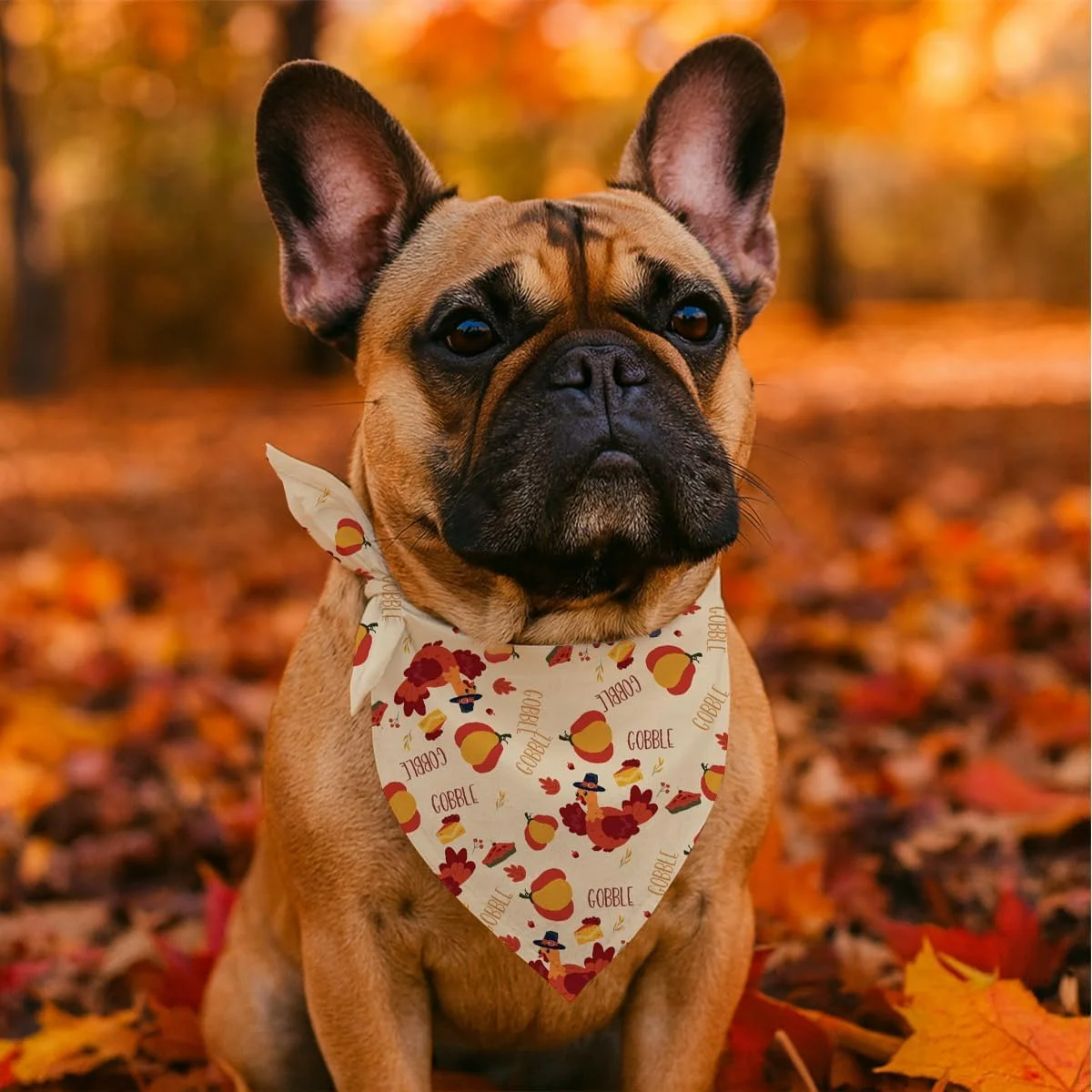 دستمال گردن سگ و گربه با طرح بوقلمون و کدو تنبل، دستمال گردن سگ قابل تنظیم، روسری های خنده دار و زیبا برای سگ های کوچک و متوسط دختر و پسر، مناسب برای تعطیلات دستمال گردن سگ و گربه با طرح بوقلمون و کدو تنبل، دستمال گردن سگ قابل تنظیم، روسری های خنده دار و زیبا برای سگ های کوچک و متوسط دختر و پسر، مناسب برای تعطیلات