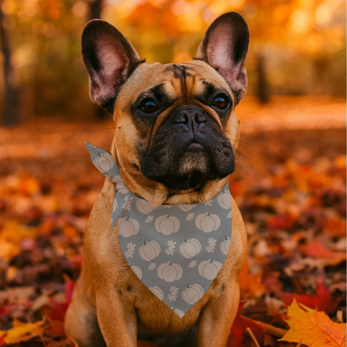 دستمال گردن سگ طرح کدو تنبل، نرم و زیبا، دستمال سه گوش قابل تنظیم با طرح کدو تنبل، هدیه ای برای سگ های کوچک و متوسط دختر و پسر