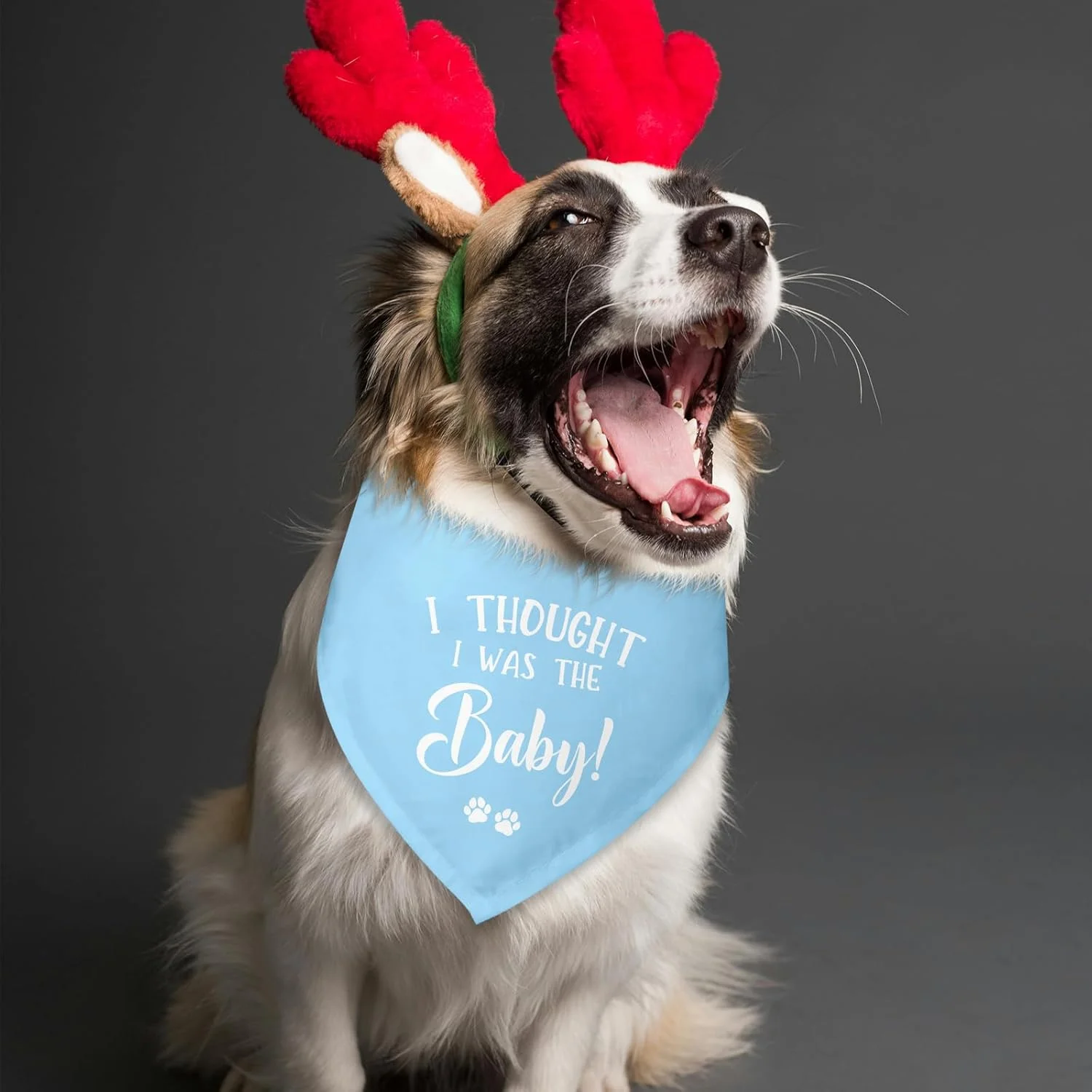دستمال گردن سگ با طرح «فکر می‌کردم من بچه هستم» برای سگ‌های کوچک و متوسط و گربه‌ها (آبی)