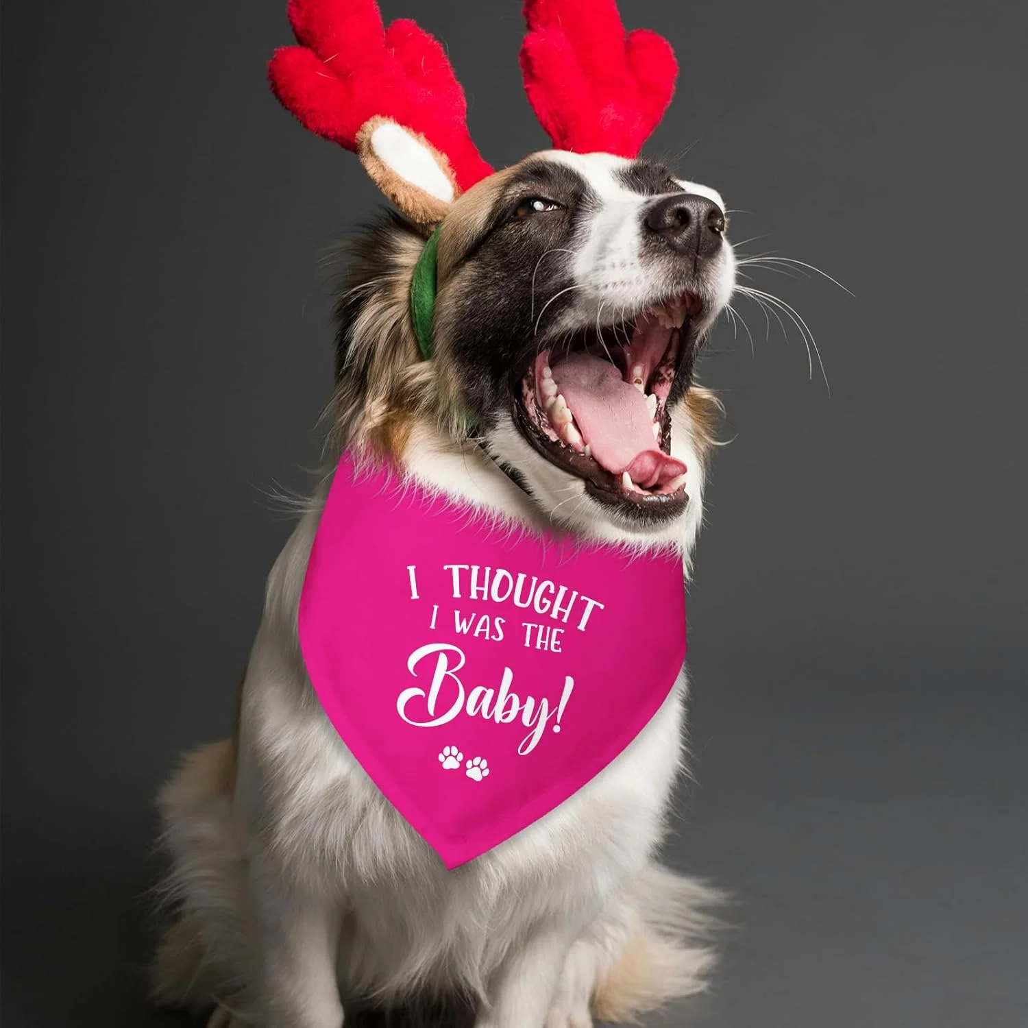 دستمال گردن سگ با طرح "فکر می‌کردم من بچه هستم"، مناسب برای اعلام بارداری، تعیین جنسیت، روسری حیوانات خانگی برای سگ‌ها و گربه‌های کوچک و متوسط (صورتی)