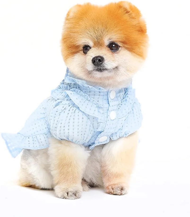 تاپ سگ تانیا - لباس سگ زیبا، تی شرت سگ برای سگ های متوسط. لباس سگ برای سگ های کوچک دخترانه پسرانه، توله سگ. لباس حیوانات خانگی سگ گربه نرم و قابل تنفس، لباس گربه، لباس سگ، لباس سگ شیک (صورتی، بزرگ)