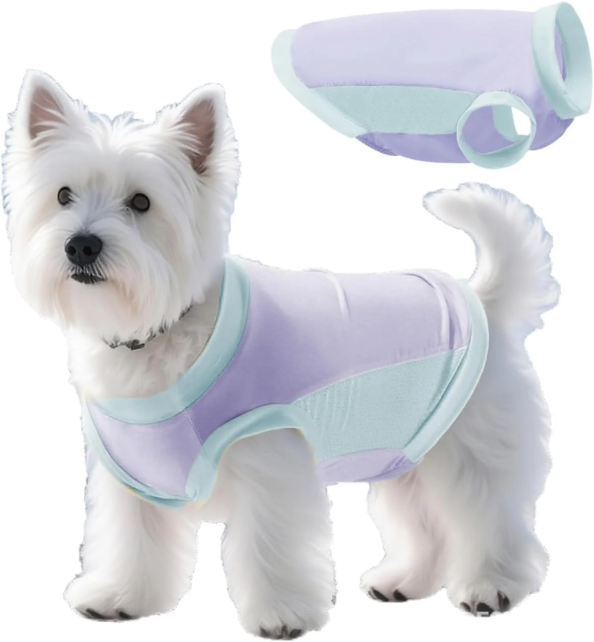 جلیقه خنک کننده سگ TOPSOSO با محافظت UV با UPF 50+، جلیقه خنک کننده سگ با فناوری خنک کننده ابریشم یخی، پارچه تنفسی با قابلیت خشک شدن سریع، جلیقه خنک کننده سبک وزن محافظت در برابر آفتاب تابستانی برای تمرینات فعال
