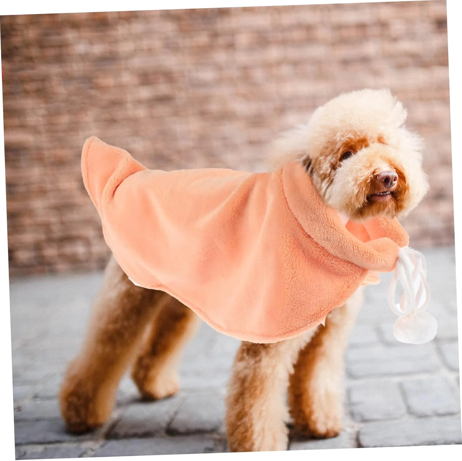 شنل حیوانات خانگی Toyvian، شنل پشمی نرم و راحت، لباس سرگرم کننده برای مهمانی ها و رویدادهای خاص، لوازم حیوانات خانگی شنل حیوانات خانگی Toyvian، شنل پشمی نرم و راحت، لباس سرگرم کننده برای مهمانی ها و رویدادهای خاص، لوازم حیوانات خانگی