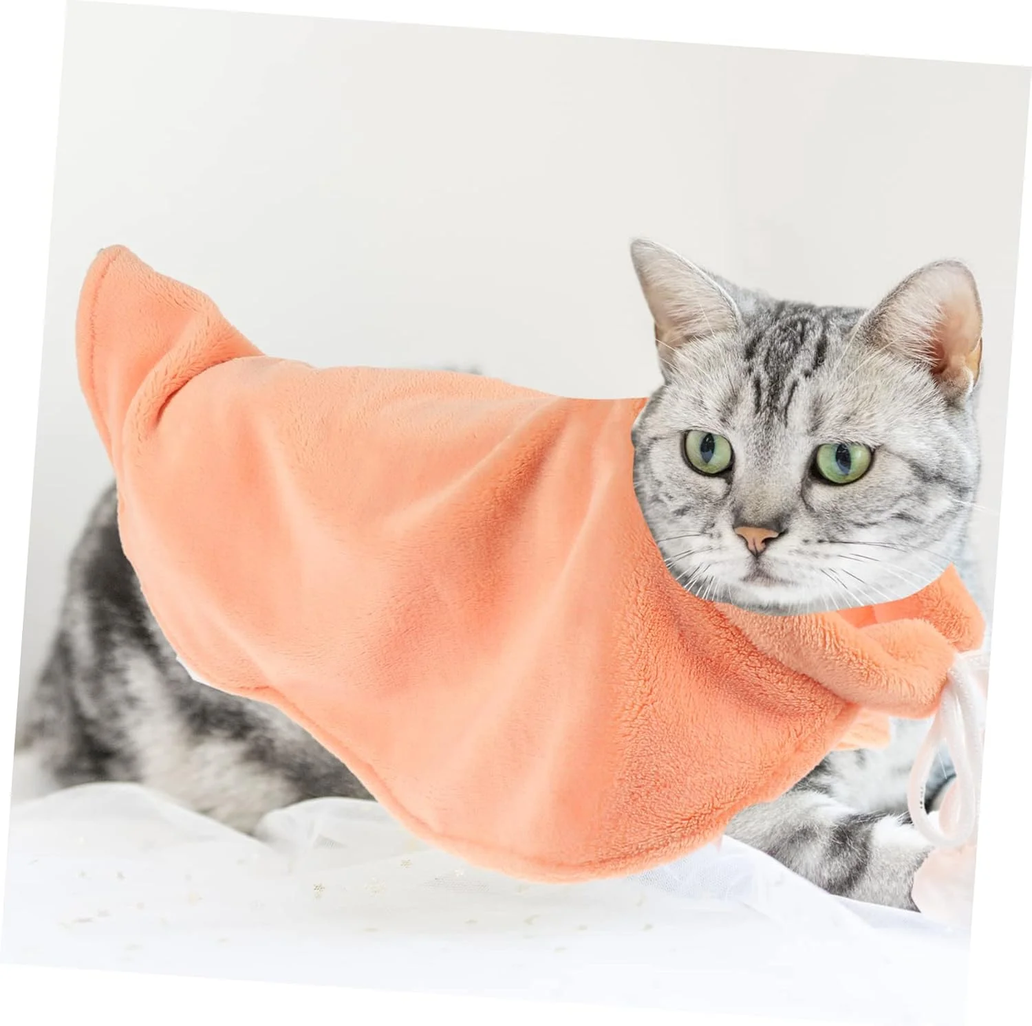 شنل حیوانات خانگی Toyvian، شنل پشمی نرم و راحت، لباس سرگرم کننده برای مهمانی ها و رویدادهای خاص، لوازم حیوانات خانگی شنل حیوانات خانگی Toyvian، شنل پشمی نرم و راحت، لباس سرگرم کننده برای مهمانی ها و رویدادهای خاص، لوازم حیوانات خانگی