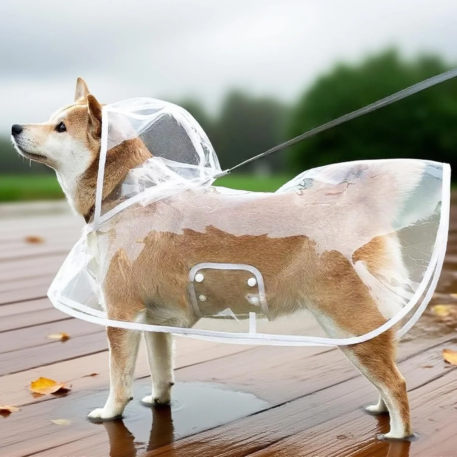 بارانی شفاف سگ با کلاه، ضد آب و شیک، مناسب سگ های کوچک و متوسط برای روزهای بارانی و پیاده روی در فضای باز
