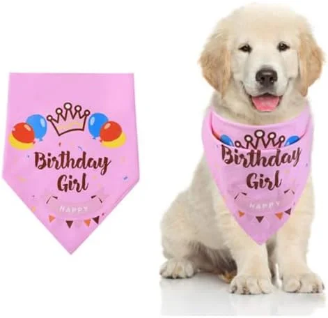 دستمال گردن مثلثی حیوانات خانگی با طرح بادکنک صورتی، دستمال سر قابل تنظیم برای سگ و گربه های کوچک و متوسط، مناسب برای تزئین تولد حیوانات خانگی، لوازم جانبی لباس تعطیلات برای سگ ها و گربه ها