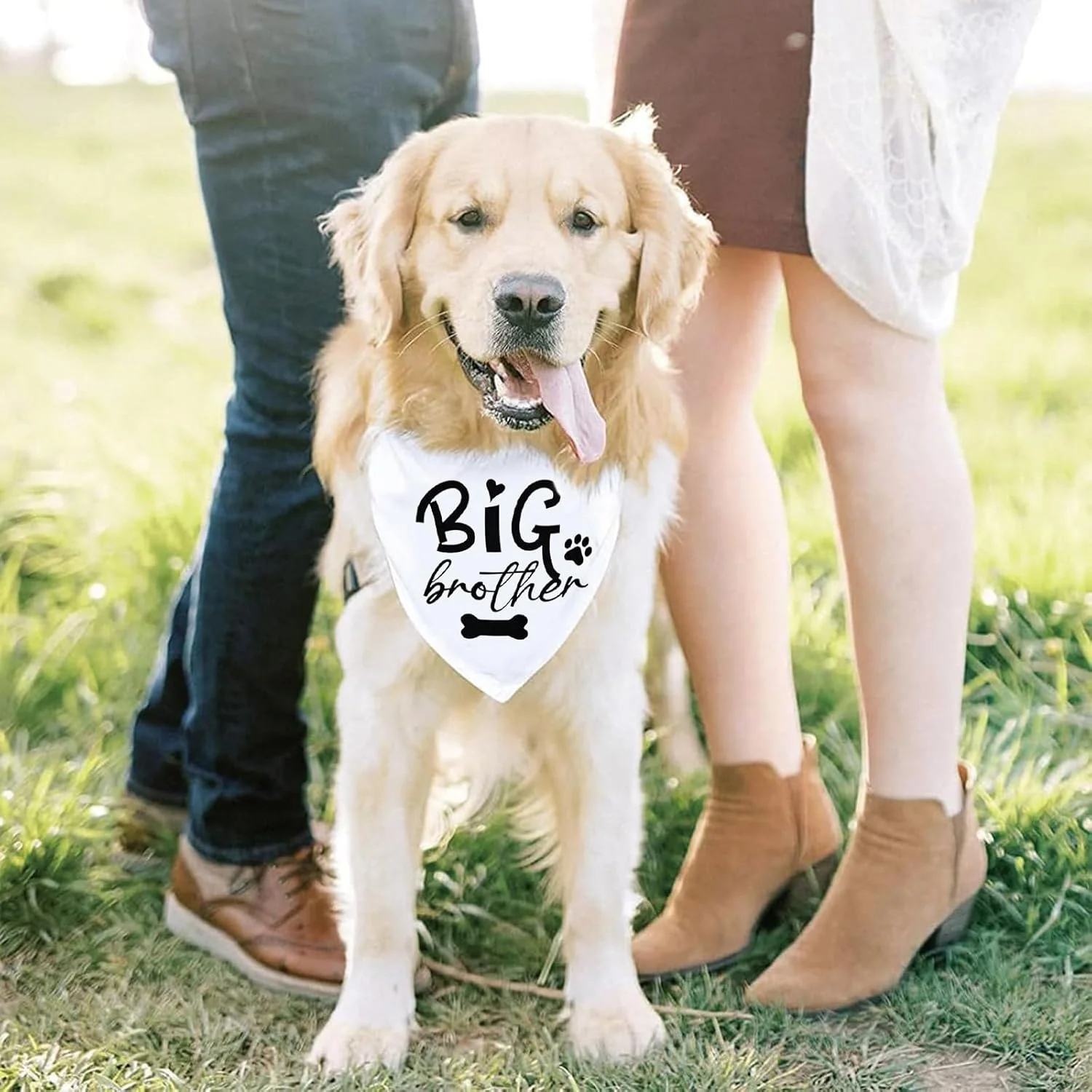 دو عدد دستمال گردن سگ، دستمال سه گوش سفید، دستمال گردن اعلام بارداری برای سگ ها، لوازم جانبی لباس حیوانات خانگی با چاپ طرح برادر بزرگ، مناسب برای سگ های کوچک و متوسط، هدیه جشن تولد حیوانات خانگی