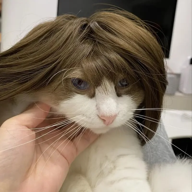 کلاه گیس خنده دار سگ برای سگ های کوچک، متوسط و بزرگ، قابل تنظیم، لباس حیوانات خانگی، تزئینات هالووین، کریسمس و مهمانی ها (قهوه ای روشن)