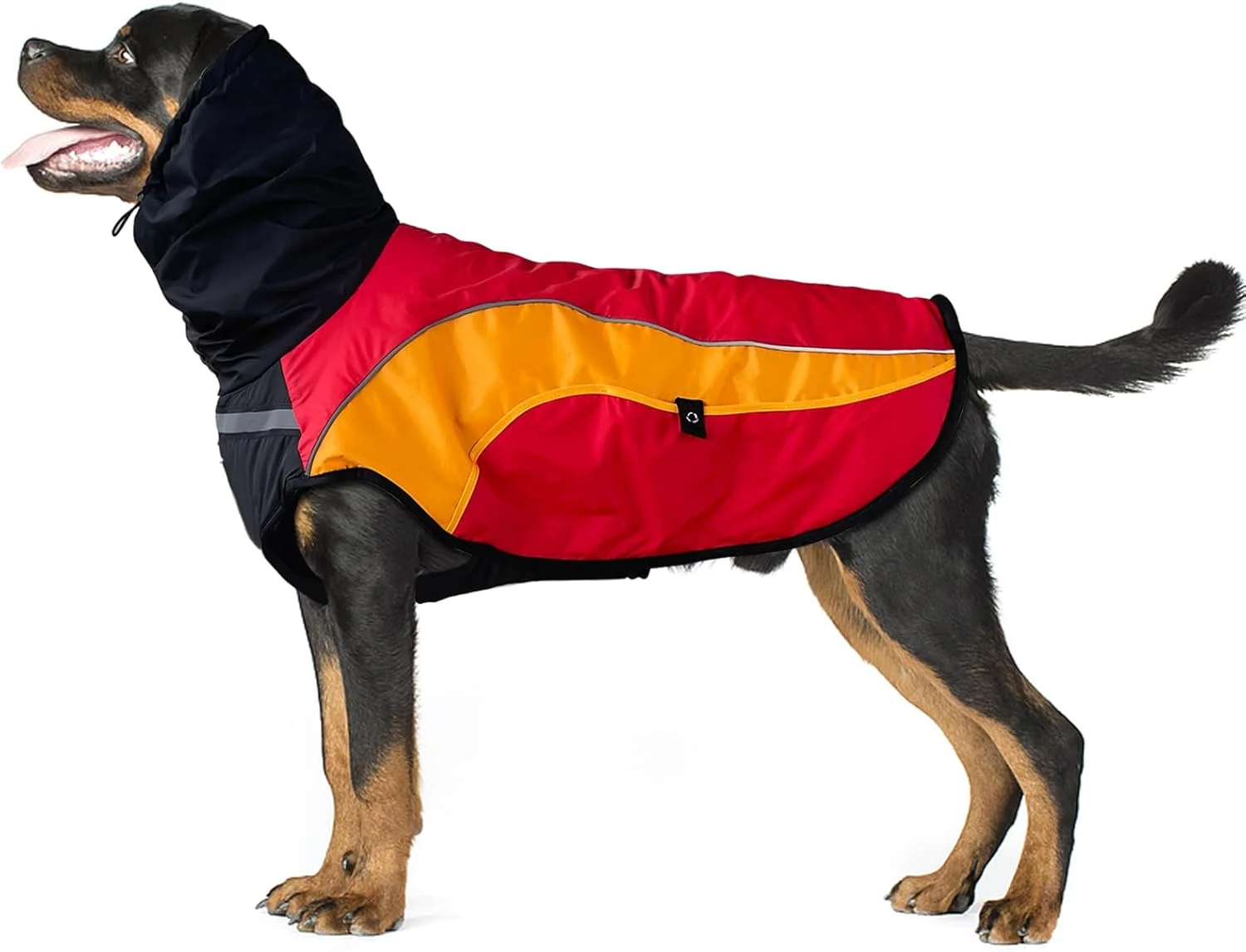 کت گرم سگ، ژاکت یقه اسکی ضد آب سگ، لباس زمستانی سگ، کت زمستانی دنج و جلیقه برفی برای سگ های کوچک، متوسط و بزرگ (بزرگ)