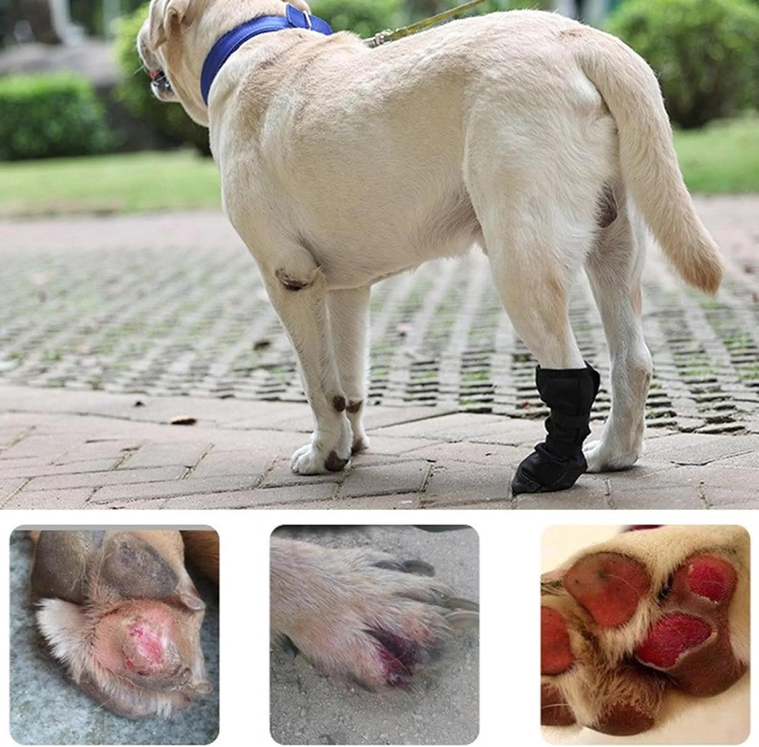 محافظ پنجه سگ Ubxvamm سایز بزرگ، کفش نرم مقاوم در برابر آب برای مراقبت از زخم سگ، کفش تنفسی حیوانات خانگی