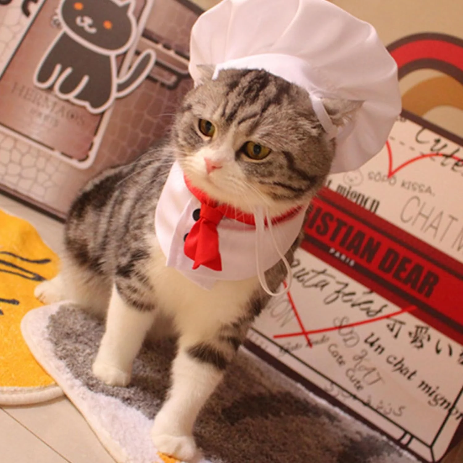 ست لباس آشپزی حیوانات خانگی با طرح گربه، مناسب هالووین و آرایش خنده دار ست لباس آشپزی حیوانات خانگی با طرح گربه، مناسب هالووین و آرایش خنده دار