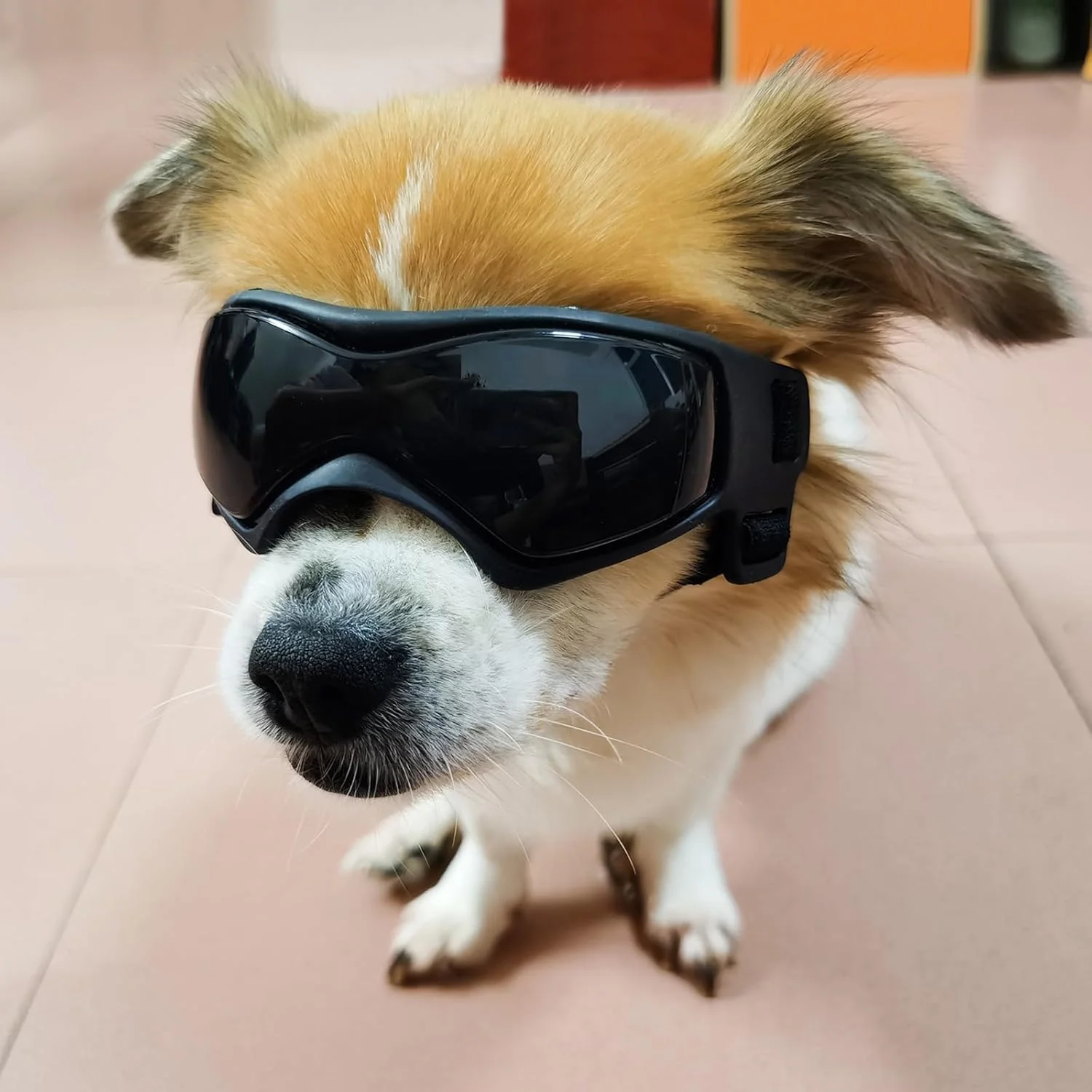 عینک آفتابی سگ با فریم نرم و محافظت UV400 و سوراخ های تهویه قابل تنظیم