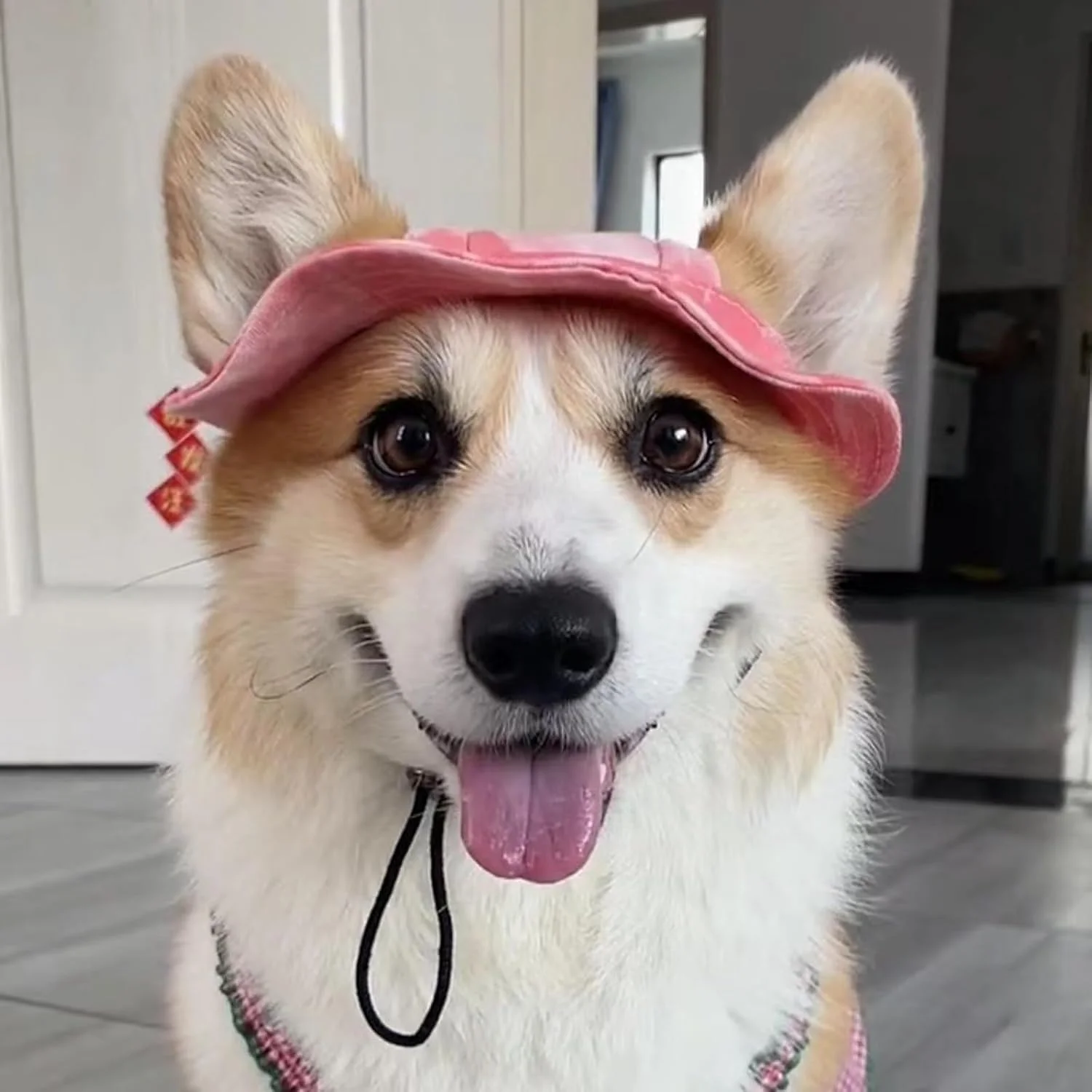 کلاه آفتابی سگ با UPF 50+ - کلاه ماهیگیری آبی برای محافظت در فضای باز، سفرهای ساحلی و ماجراجویی های تابستانی