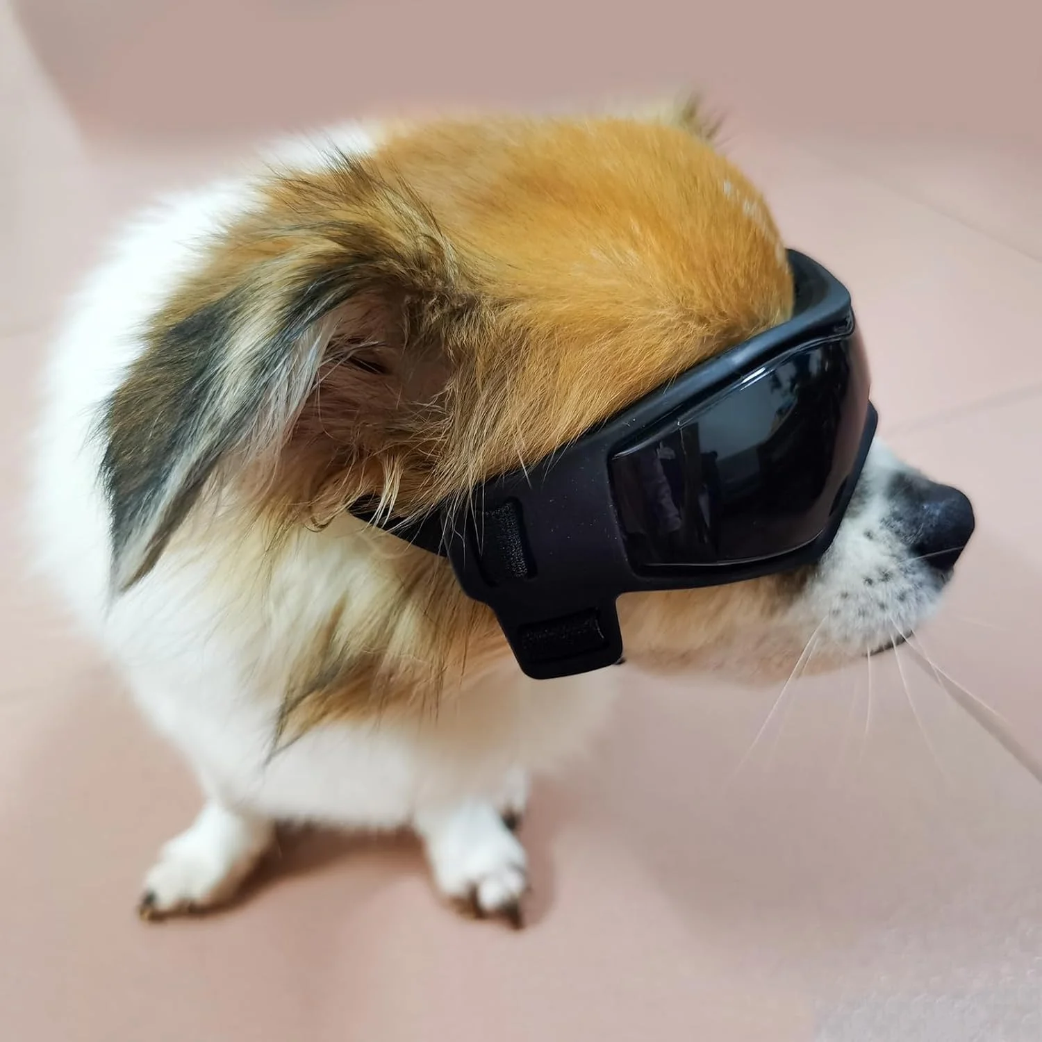 عینک آفتابی سگ با فریم نرم و محافظت UV400 و سوراخ های تهویه قابل تنظیم