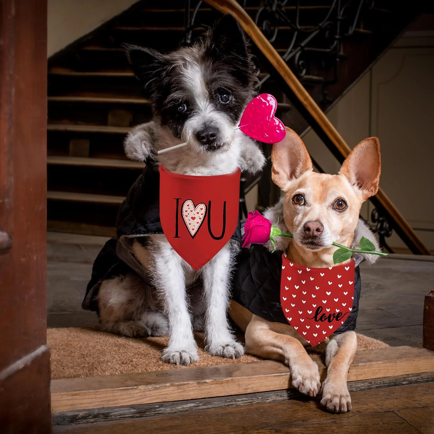 دستمال گردن سگ طرح روز عشق، بسته 2 عددی، طرح قلب های سفید و دوستت دارم قرمز، مناسب سگ های پسر و دختر، دستمال سر حیوانات خانگی برای سگ های بزرگ دستمال گردن سگ طرح روز عشق، بسته 2 عددی، طرح قلب های سفید و دوستت دارم قرمز، مناسب سگ های پسر و دختر، دستمال سر حیوانات خانگی برای سگ های بزرگ