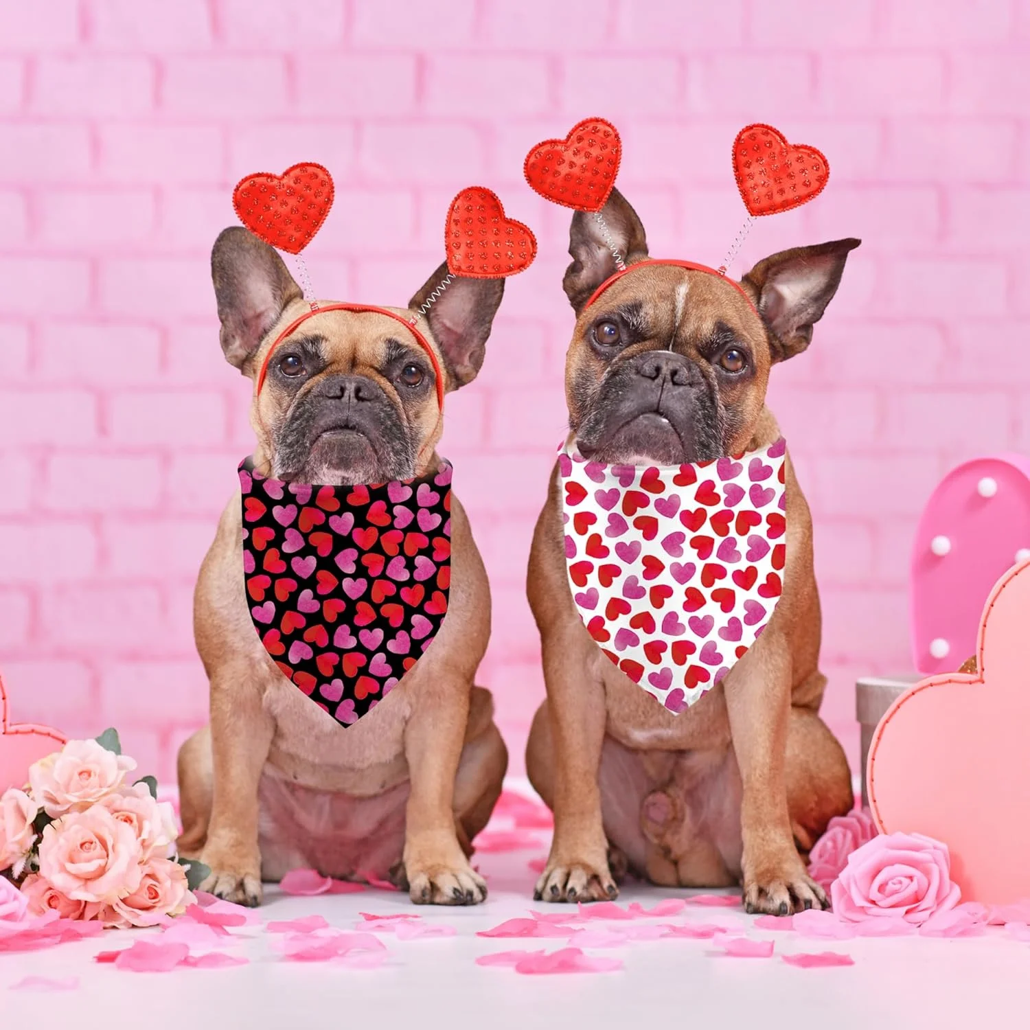 دو عدد دستمال گردن سگ طرح روز عشق، شال گردن سگ با طرح قلب های صورتی طیف دار برای سگ های پسر و دختر، دستمال گردن حیوانات خانگی برای هدیه روز عشق، دستمال گردن عمده برای سگ های کوچک