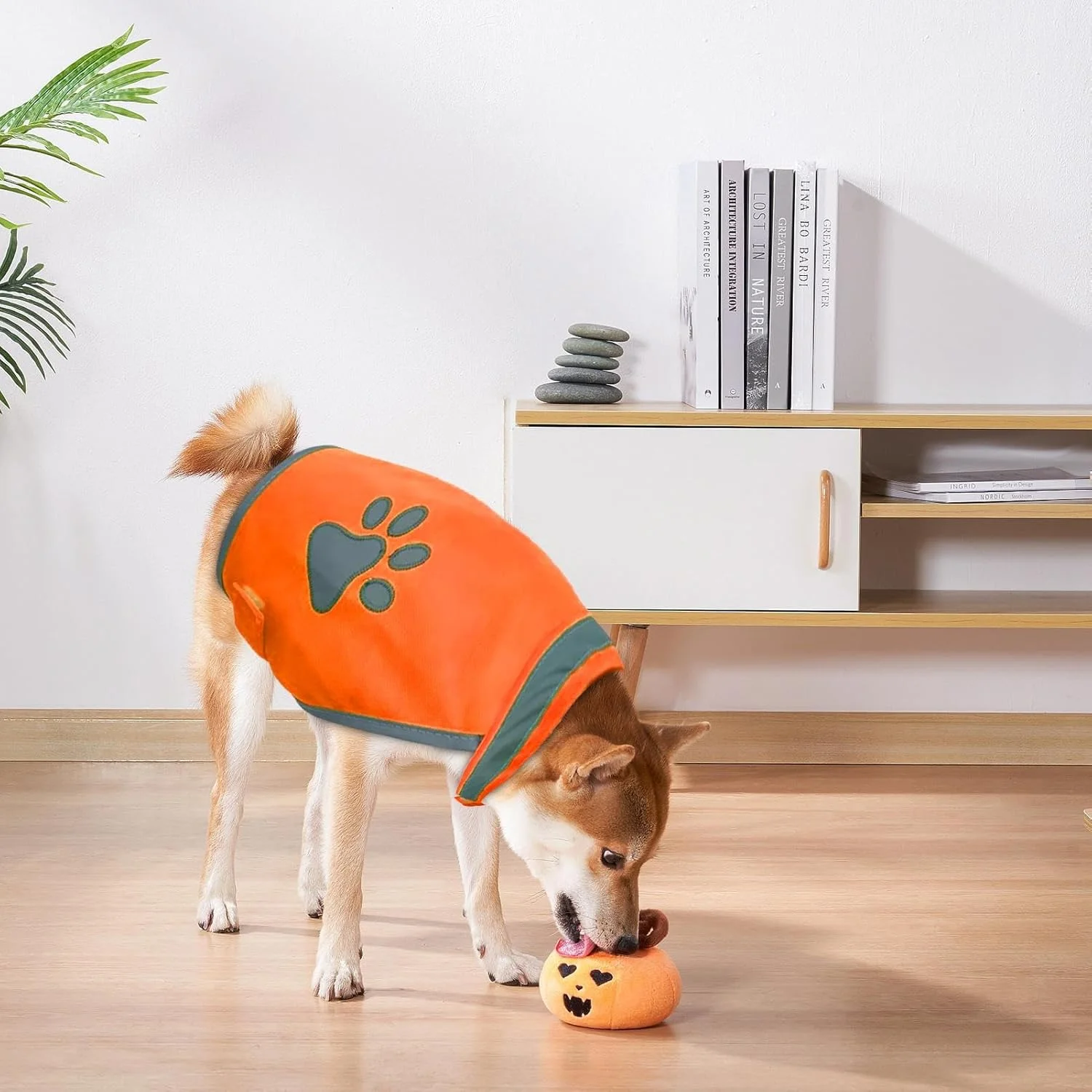 لباس سگ جلیقه ای بازتابنده | جلیقه حیوانات خانگی فلورسنت ایمنی سگ - لباس شب سگ با دید بالا جلیقه امنیتی حیوانات خانگی دنده قابل مشاهده برای پیاده روی و ماجراجویی