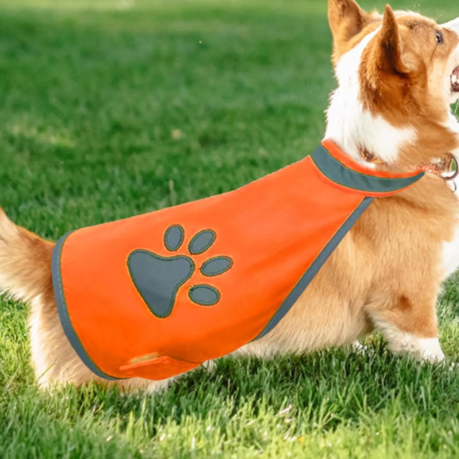 لباس سگ جلیقه ای بازتابنده | جلیقه حیوانات خانگی فلورسنت ایمنی سگ - لباس شب سگ با دید بالا جلیقه امنیتی حیوانات خانگی دنده قابل مشاهده برای پیاده روی و ماجراجویی