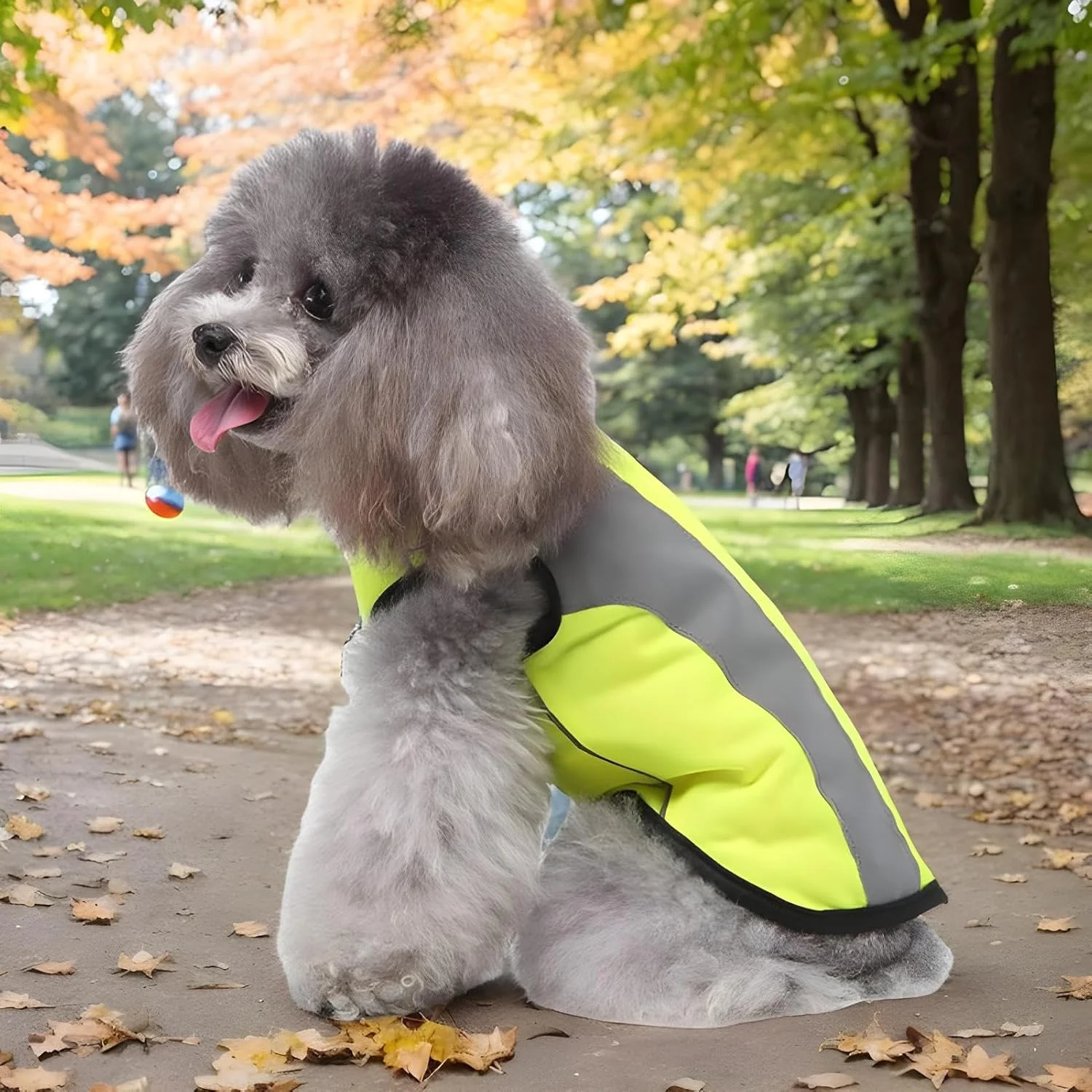 جلیقه ایمنی سگ، جلیقه ایمنی بازتابنده با دید بالا برای سگ | لباس تنفسی با دید بالا برای حیوانات خانگی با ژاکت درخشان تمرینی زیپ دار برای نژادهای کوچک و متوسط در فضای باز