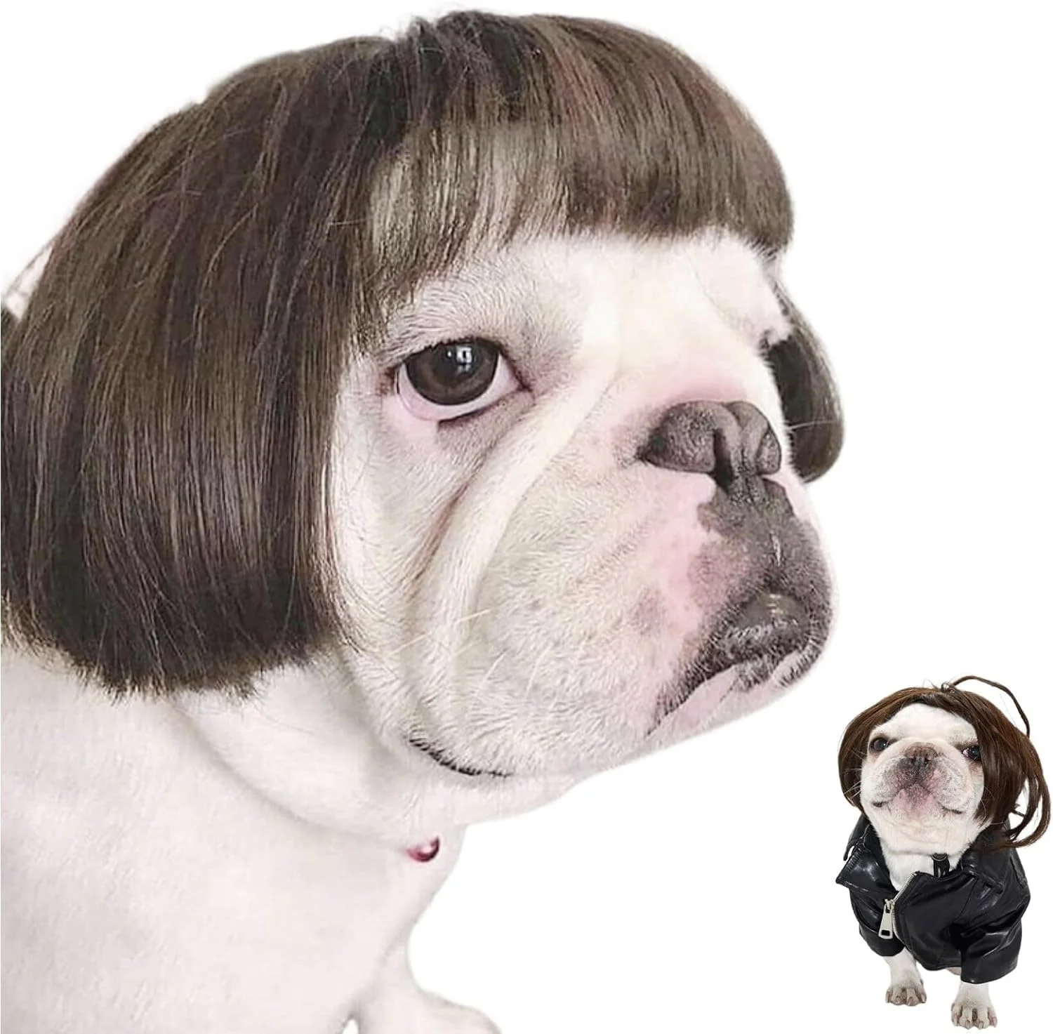 کلاه گیس فانتزی حیوانات خانگی مناسب هالووین، کریسمس، مهمانی ها و جشنواره ها - مناسب سگ و گربه کلاه گیس فانتزی حیوانات خانگی مناسب هالووین، کریسمس، مهمانی ها و جشنواره ها - مناسب سگ و گربه