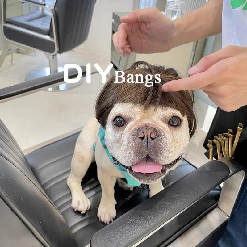 کلاه گیس فانتزی حیوانات خانگی مناسب هالووین، کریسمس، مهمانی ها و جشنواره ها - مناسب سگ و گربه کلاه گیس فانتزی حیوانات خانگی مناسب هالووین، کریسمس، مهمانی ها و جشنواره ها - مناسب سگ و گربه