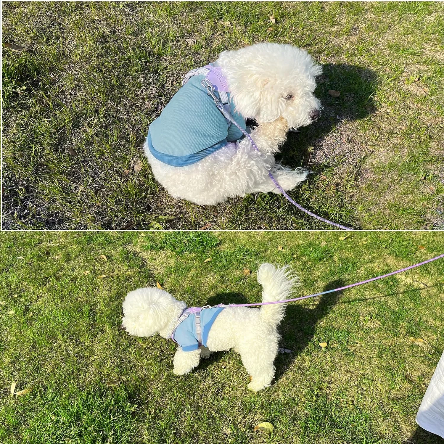 لباس سگ وافل برای توله سگ های کوچک، مناسب برای پیاده روی روزانه، آبی، سایز کوچک