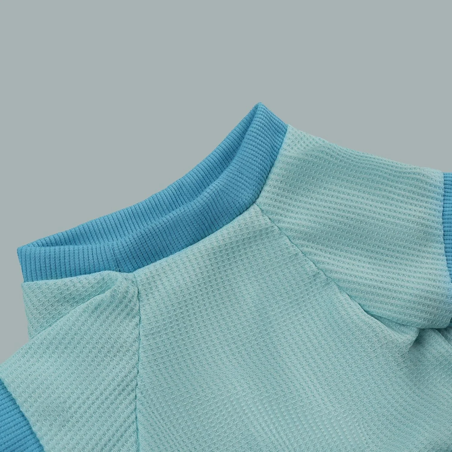 لباس سگ وافل برای توله سگ های کوچک، مناسب برای پیاده روی روزانه، آبی، سایز کوچک