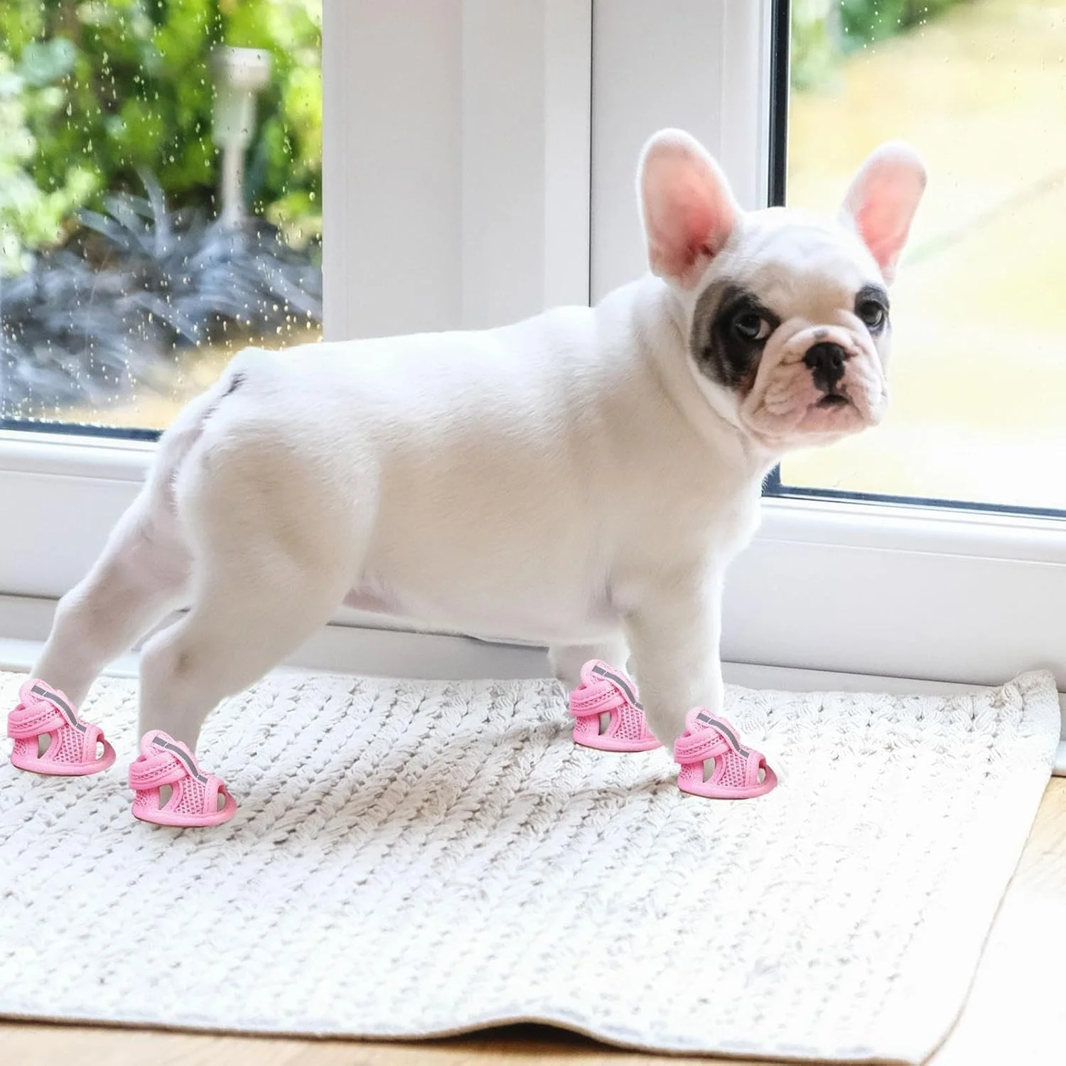 کفش سگ، کفش پیاده روی سگ، پاپوش توله سگ مناسب برای پیاده روی شبانه، استفاده روزانه در خانه، باغ، پارک، فضای باز، مسافرت، پیاده رو و جاده