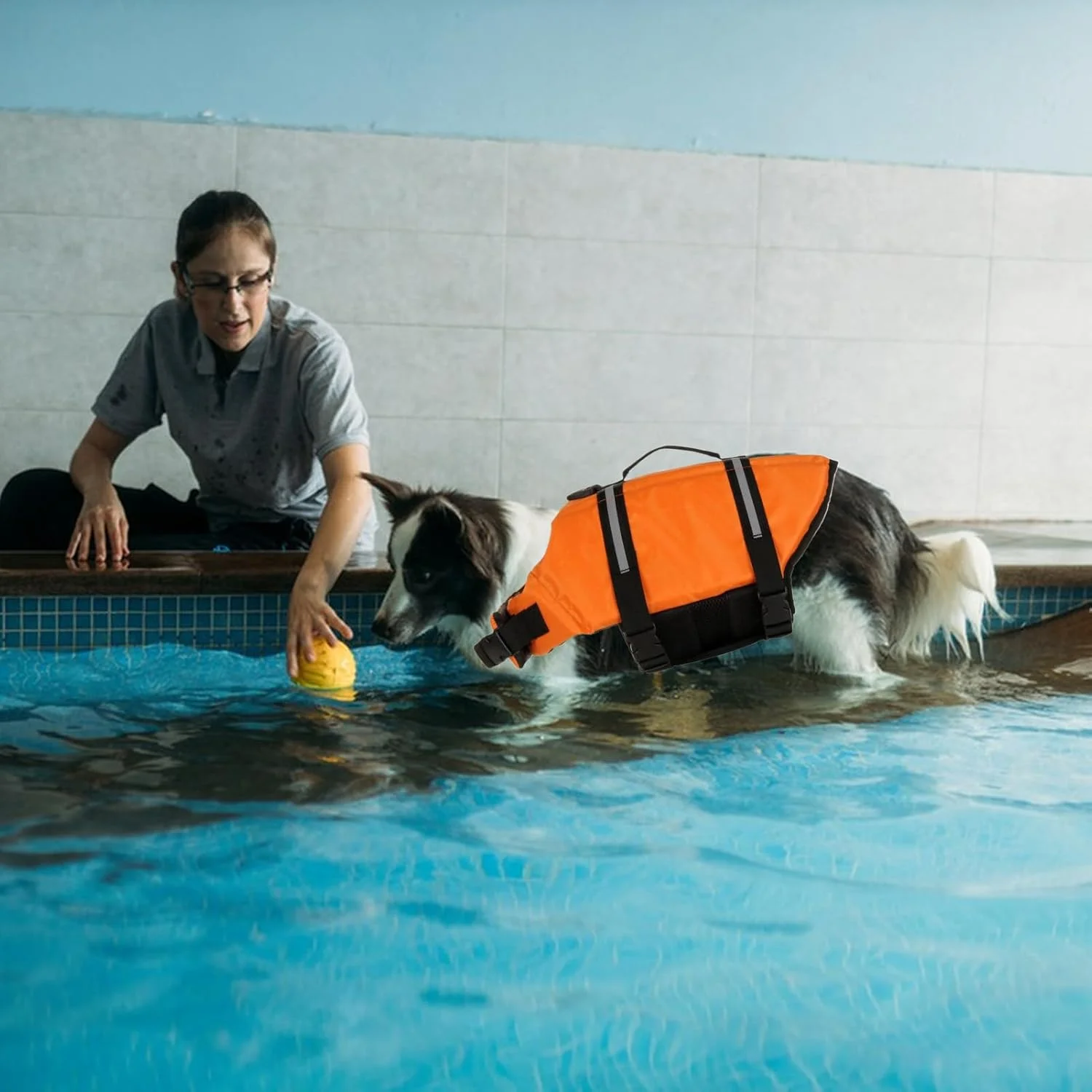 جلیقه نجات سگ - جلیقه سگ با نوار بازتابنده | جلیقه نجات حیوانات خانگی قابل تنظیم برای دریاچه، کمپینگ، ساحل، قایقرانی و استخر تابستانی جلیقه نجات سگ - جلیقه سگ با نوار بازتابنده | جلیقه نجات حیوانات خانگی قابل تنظیم برای دریاچه، کمپینگ، ساحل، قایقرانی و استخر تابستانی