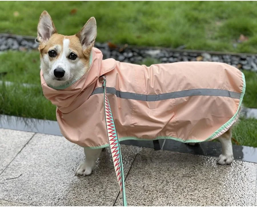 بارانی ضدآب سگ Nvzi-b، لباس بارانی سبک وزن بازتابنده قابل تنظیم حیوانات خانگی (L، آبی) بارانی ضدآب سگ Nvzi-b، لباس بارانی سبک وزن بازتابنده قابل تنظیم حیوانات خانگی (L، آبی)