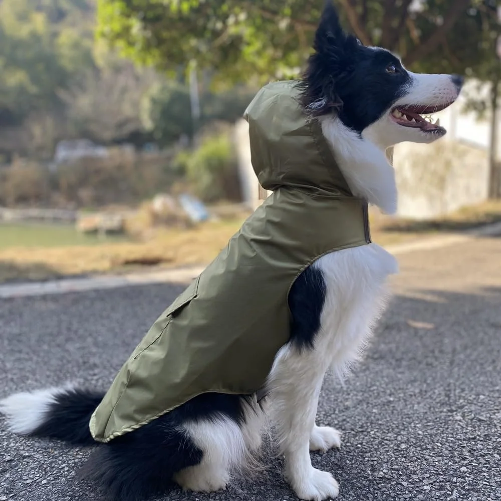 بارانی ضد آب سگ، لباس بارانی سبک وزن بازتابنده حیوانات خانگی با کلاه پانچو (XL، سبز A) بارانی ضد آب سگ، لباس بارانی سبک وزن بازتابنده حیوانات خانگی با کلاه پانچو (XL، سبز A)