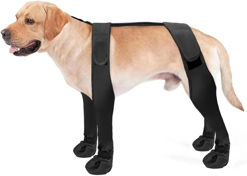 کفش سگ ایرون ضد آب با کفی ضد لغزش، بسیار مناسب برای پیاده روی و جلوگیری از افتادن، دارای بندهای کمکی قابل تنظیم، سایز S کفش سگ ایرون ضد آب با کفی ضد لغزش، بسیار مناسب برای پیاده روی و جلوگیری از افتادن، دارای بندهای کمکی قابل تنظیم، سایز S