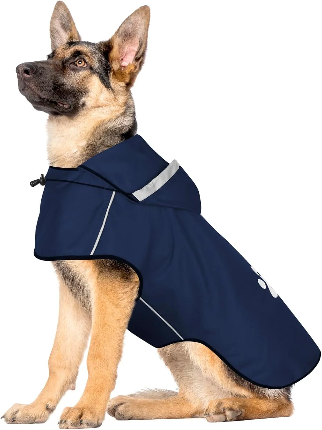 بارانی سگ، ژاکت ضد آب سگ، بارانی سگ بازتابنده با کلاه، بارانی کلاهدار سبک وزن نرم با بند کشی قابل تنظیم/نوار بازتابنده/سوراخ قلاده، بارانی برای پیاده روی سگ ها، سایز L بارانی سگ، ژاکت ضد آب سگ، بارانی سگ بازتابنده با کلاه، بارانی کلاهدار سبک وزن نرم با بند کشی قابل تنظیم/نوار بازتابنده/سوراخ قلاده، بارانی برای پیاده روی سگ ها، سایز L