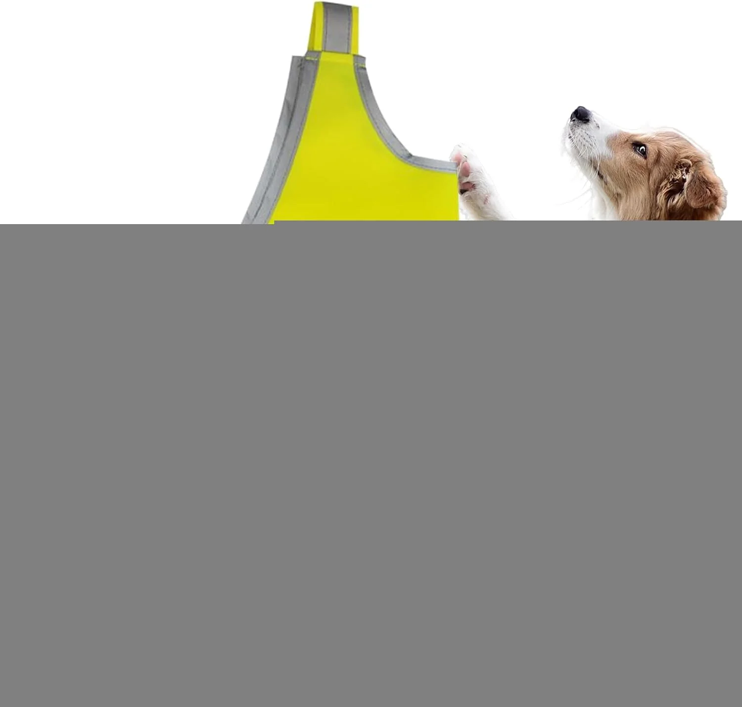 جلیقه ایمنی سگ | جلیقه سگ برای پیاده روی شبانه | لباس تمرینی ضد آب با دید بالا برای خدمات حیوانات خانگی، کمپینگ، پیاده روی، شکار و ساخت و ساز جلیقه ایمنی سگ | جلیقه سگ برای پیاده روی شبانه | لباس تمرینی ضد آب با دید بالا برای خدمات حیوانات خانگی، کمپینگ، پیاده روی، شکار و ساخت و ساز