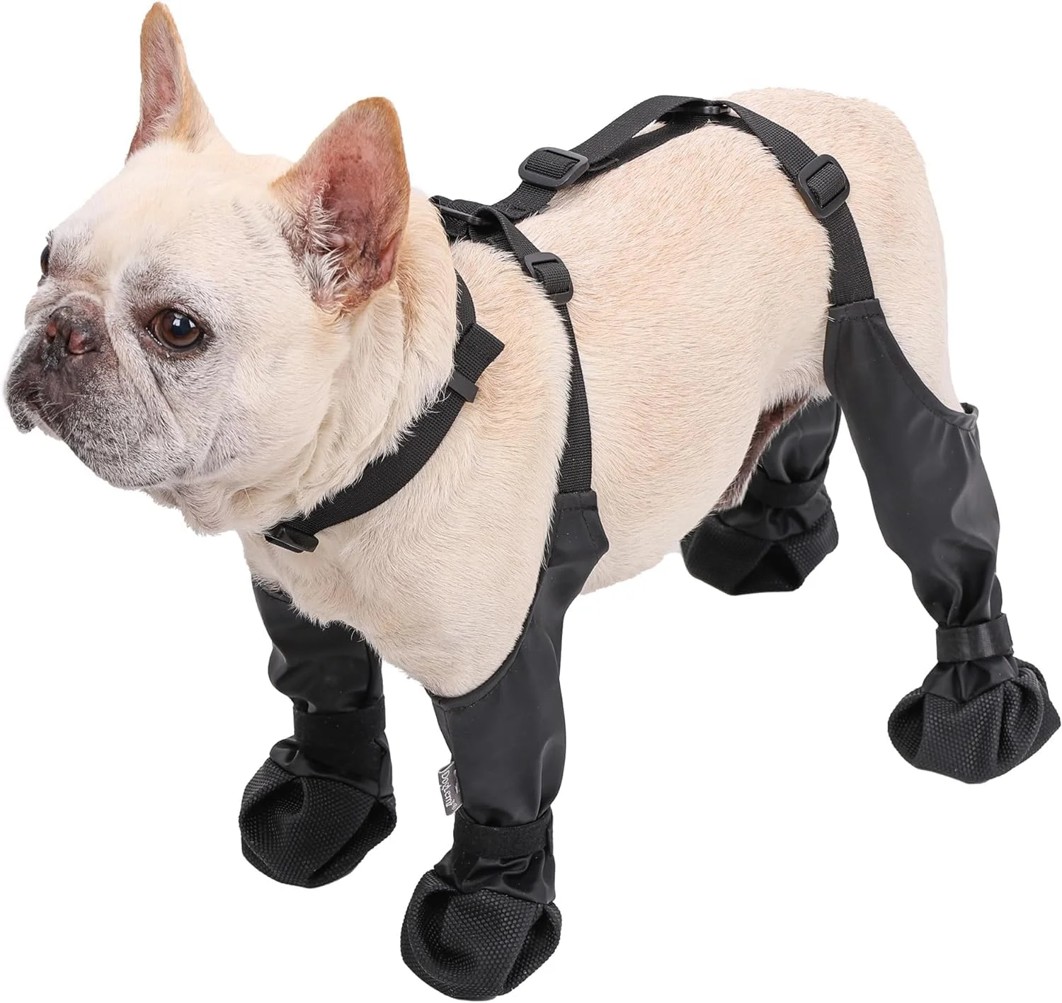 کفش سگ کوچک، چکمه های ضد آب سگ با بند، محافظ پنجه حیوانات خانگی برای توله سگ های کوچک، ضد کثیفی و ضد لغزش چکمه های پیاده روی و دویدن در فضای باز سگ با بند های قابل تنظیم (مشکی، XL) کفش سگ کوچک، چکمه های ضد آب سگ با بند، محافظ پنجه حیوانات خانگی برای توله سگ های کوچک، ضد کثیفی و ضد لغزش چکمه های پیاده روی و دویدن در فضای باز سگ با بند های قابل تنظیم (مشکی، XL)