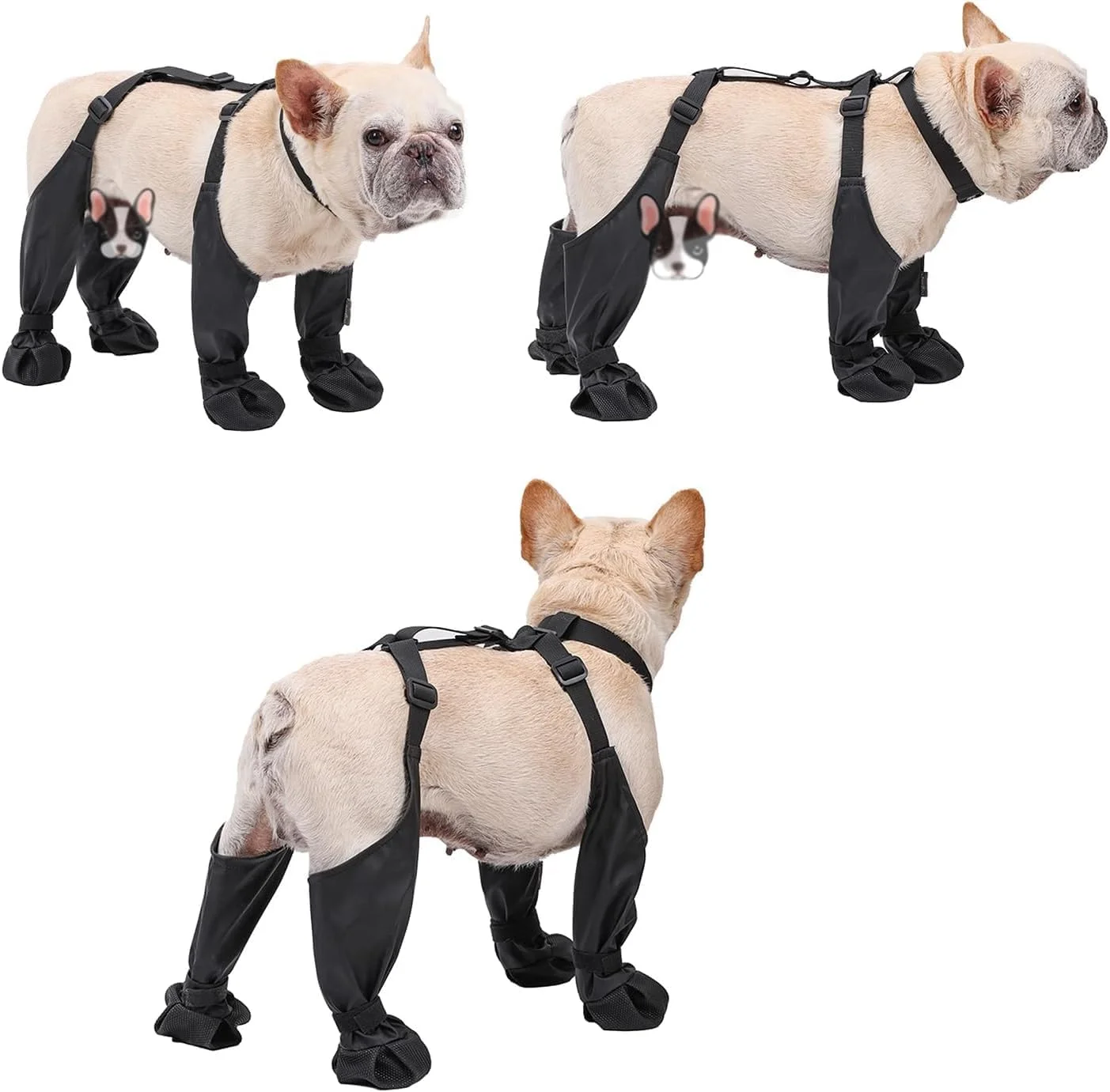 کفش سگ کوچک، چکمه های ضد آب سگ با بند، محافظ پنجه حیوانات خانگی برای توله سگ های کوچک، ضد کثیفی و ضد لغزش چکمه های پیاده روی و دویدن در فضای باز سگ با بند های قابل تنظیم (مشکی، XL) کفش سگ کوچک، چکمه های ضد آب سگ با بند، محافظ پنجه حیوانات خانگی برای توله سگ های کوچک، ضد کثیفی و ضد لغزش چکمه های پیاده روی و دویدن در فضای باز سگ با بند های قابل تنظیم (مشکی، XL)