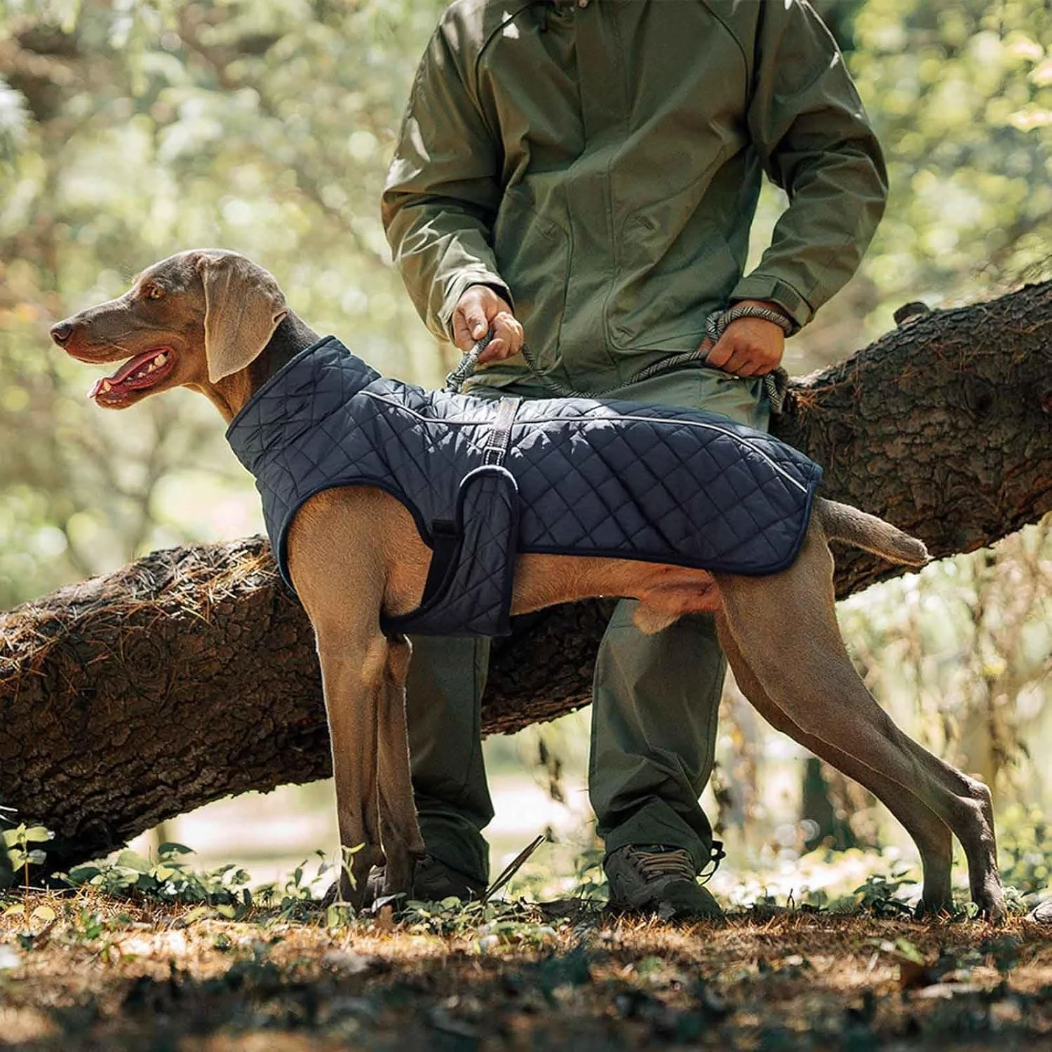 کت ضدآب سگ، ژاکت گرم و ضد باد سگ برای هوای سرد، جلیقه سگ برای زمستان، ژاکت گرم زمستانی قابل تنظیم برای سگ های بزرگ و متوسط، سرمه ای، XL کت ضدآب سگ، ژاکت گرم و ضد باد سگ برای هوای سرد، جلیقه سگ برای زمستان، ژاکت گرم زمستانی قابل تنظیم برای سگ های بزرگ و متوسط، سرمه ای، XL