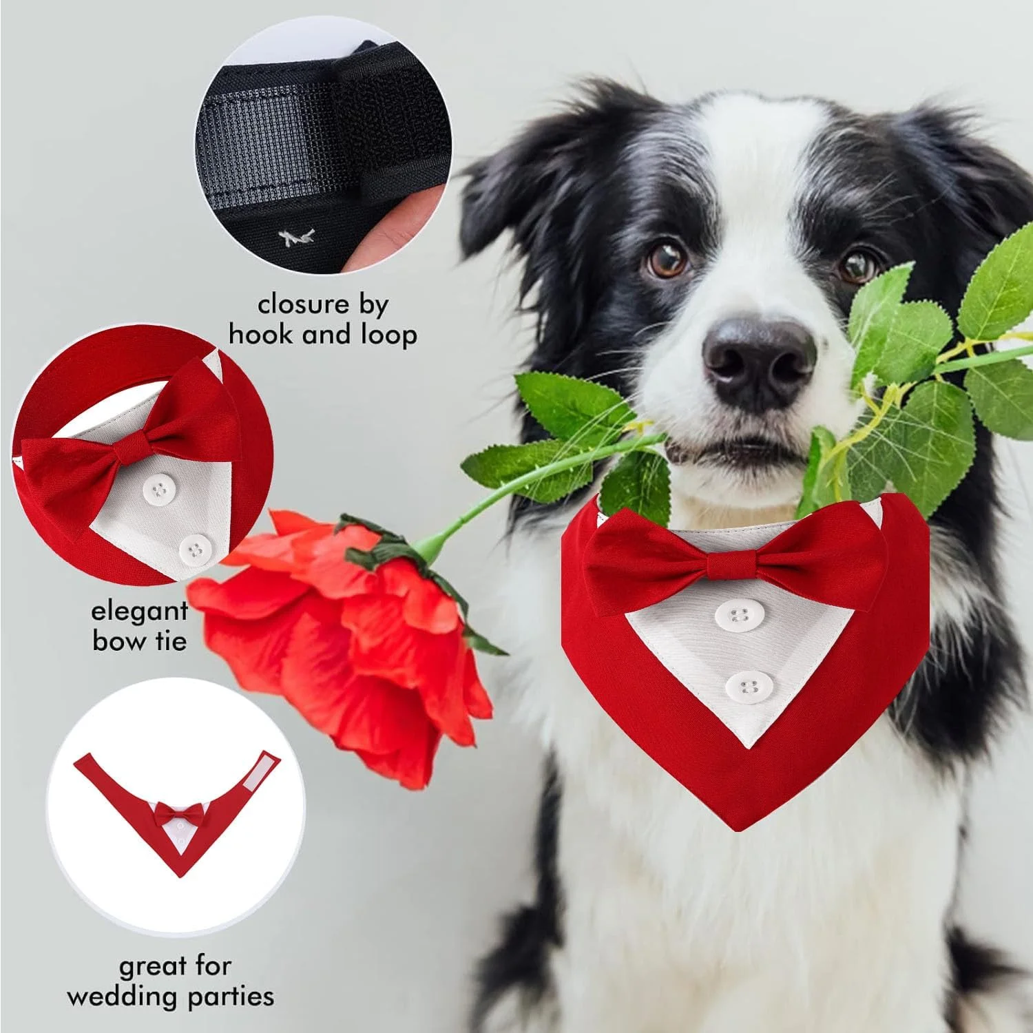 تاکسیدوی سگ، دستمال گردن رسمی عروسی سگ با پاپیون، لباس تولد سگ، لباس مهمانی حیوانات خانگی قابل تنظیم، لباس عروسی سگ، لباس ولنتاین سگ، لباس Cosplay برای حیوانات خانگی کوچک، متوسط و بزرگ تاکسیدوی سگ، دستمال گردن رسمی عروسی سگ با پاپیون، لباس تولد سگ، لباس مهمانی حیوانات خانگی قابل تنظیم، لباس عروسی سگ، لباس ولنتاین سگ، لباس Cosplay برای حیوانات خانگی کوچک، متوسط و بزرگ