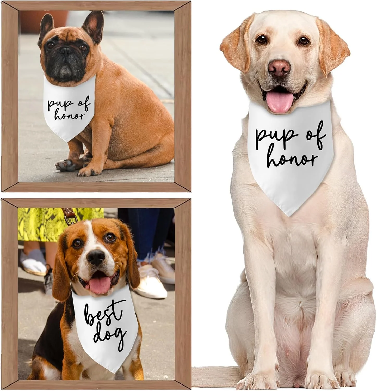 هدیه عروسی، دستمال گردن سگ، اکسسوری حیوانات خانگی برای دوستداران سگ، هدیه صاحب سگ، مهمانی نامزدی، هدایای تزئینات جشن عروسی هدیه عروسی، دستمال گردن سگ، اکسسوری حیوانات خانگی برای دوستداران سگ، هدیه صاحب سگ، مهمانی نامزدی، هدایای تزئینات جشن عروسی