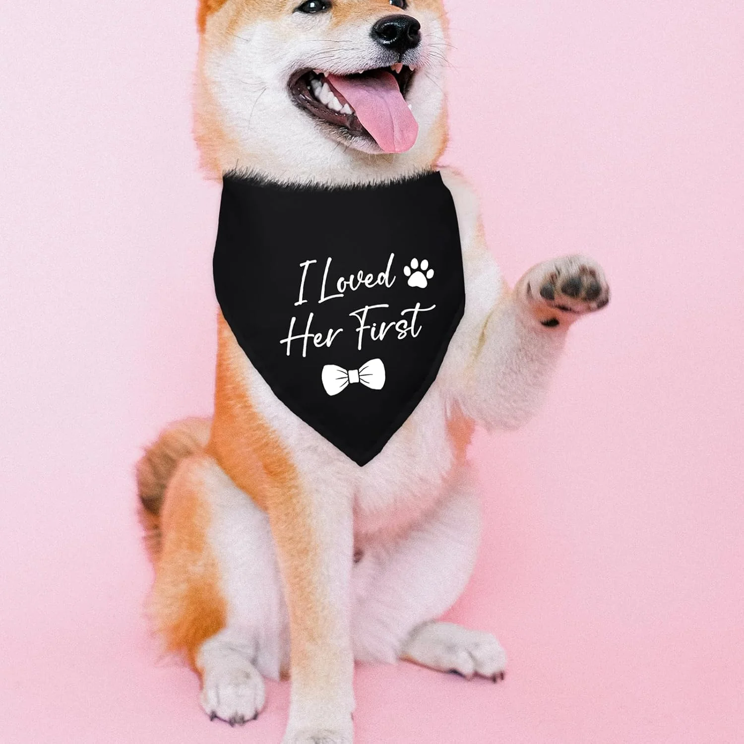 دستمال گردن سگ با طرح "اولین بار عاشقش شدم"، مناسب جشن عروسی، نامزدی و عکاسی، اکسسوری حیوانات خانگی، دستمال گردن مشکی برای دوستداران سگ دستمال گردن سگ با طرح "اولین بار عاشقش شدم"، مناسب جشن عروسی، نامزدی و عکاسی، اکسسوری حیوانات خانگی، دستمال گردن مشکی برای دوستداران سگ
